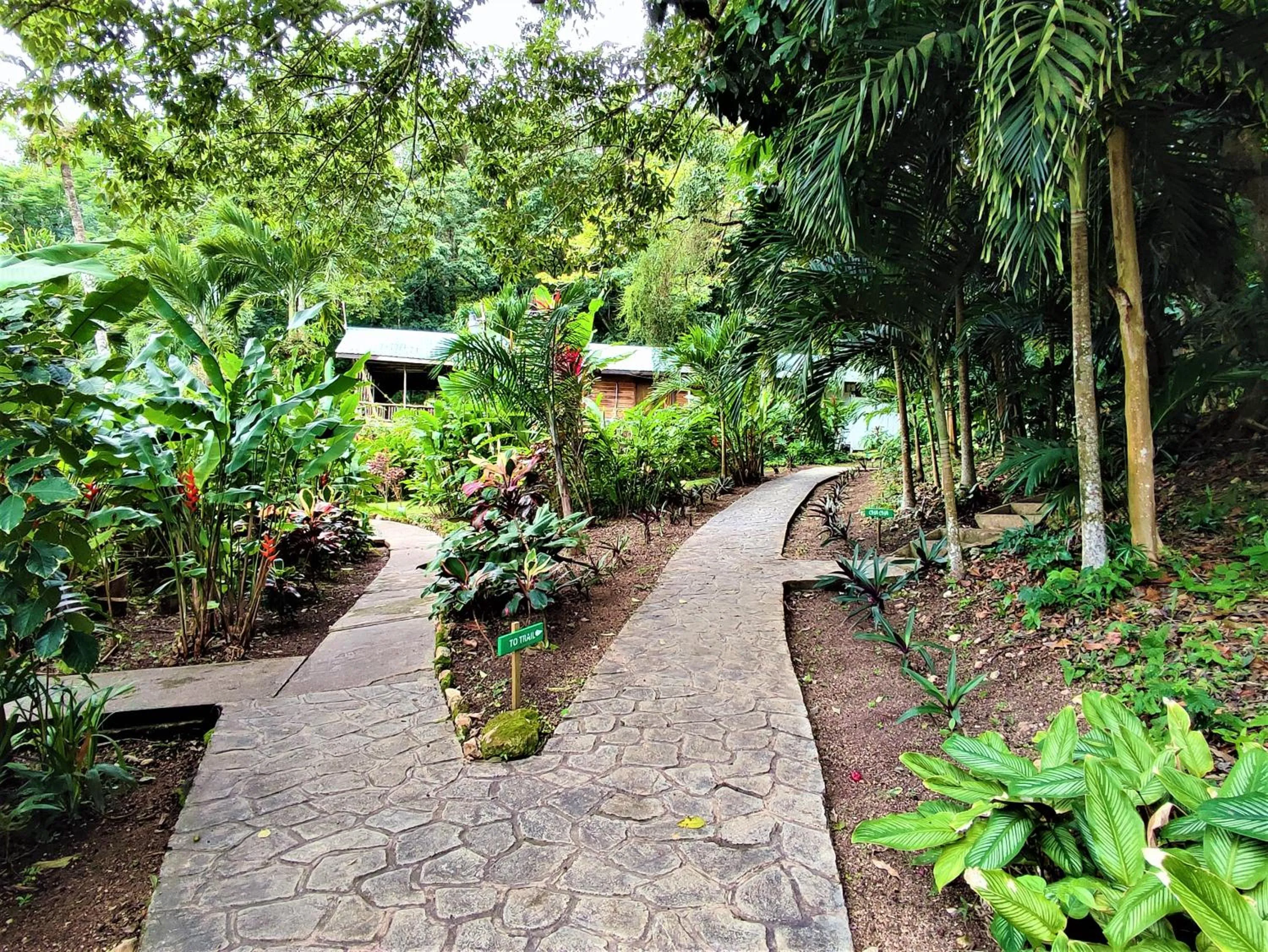 Garden in Maya Mountain Lodge