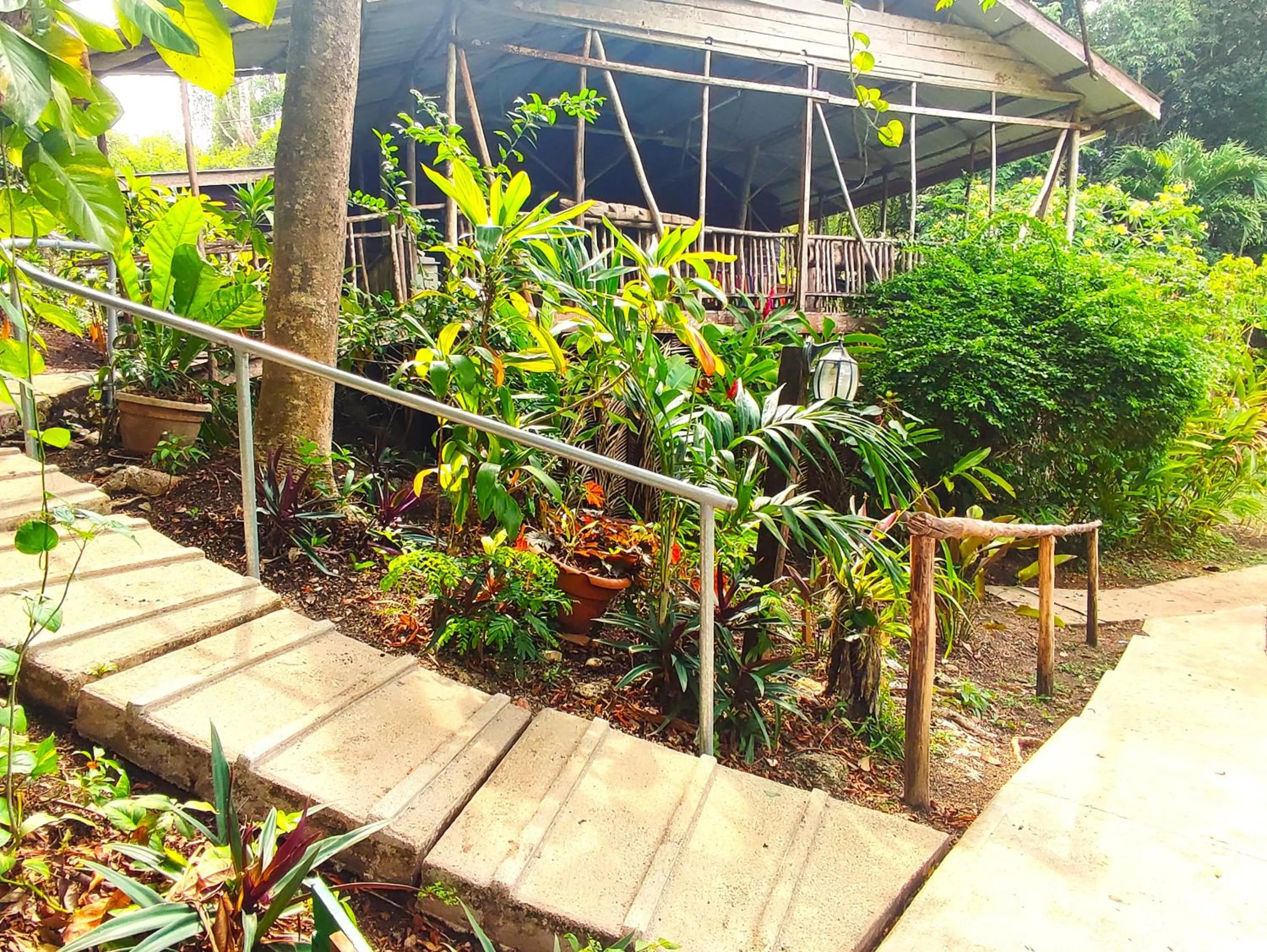 Garden in Maya Mountain Lodge