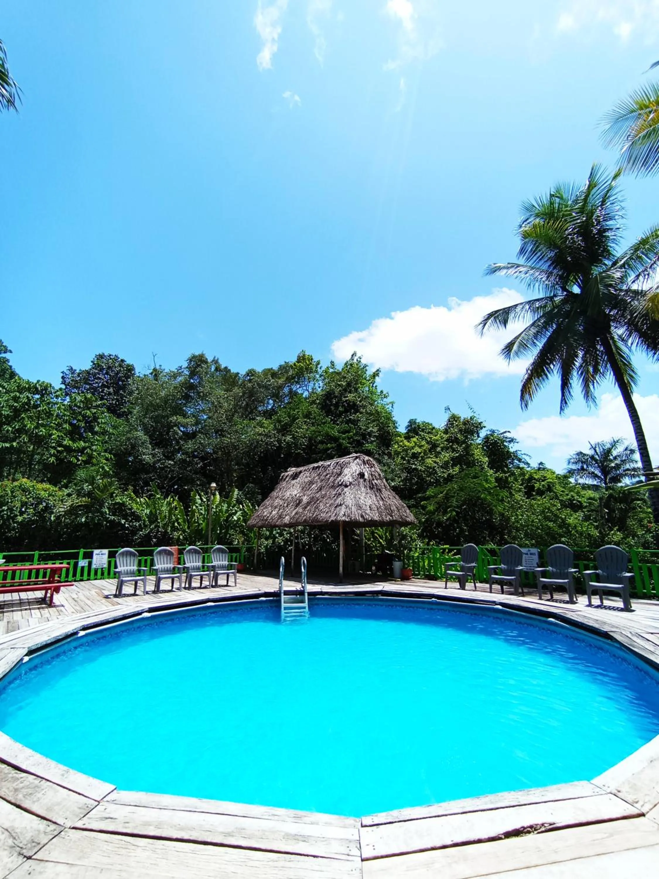 Pool view in Maya Mountain Lodge