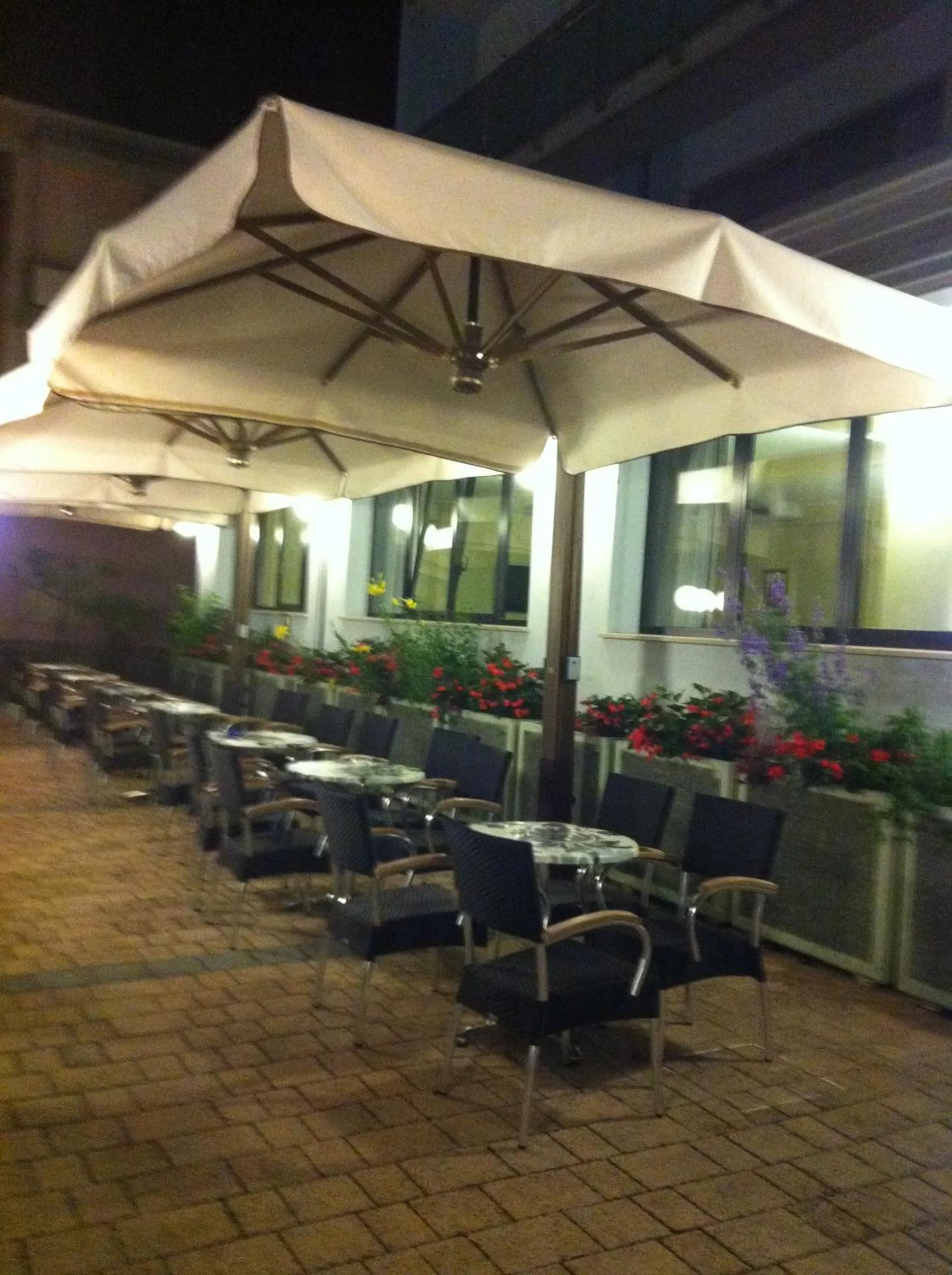 Garden in Hotel Massimo