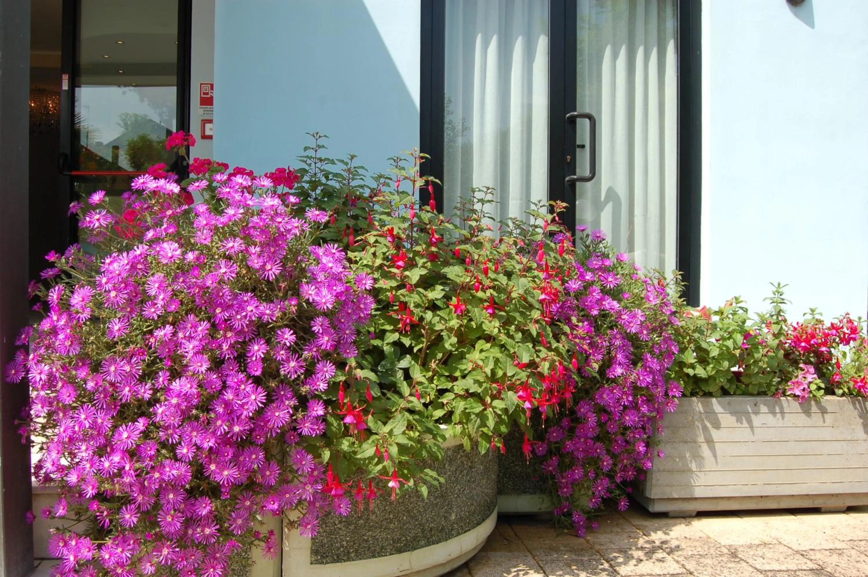 Garden in Hotel Massimo