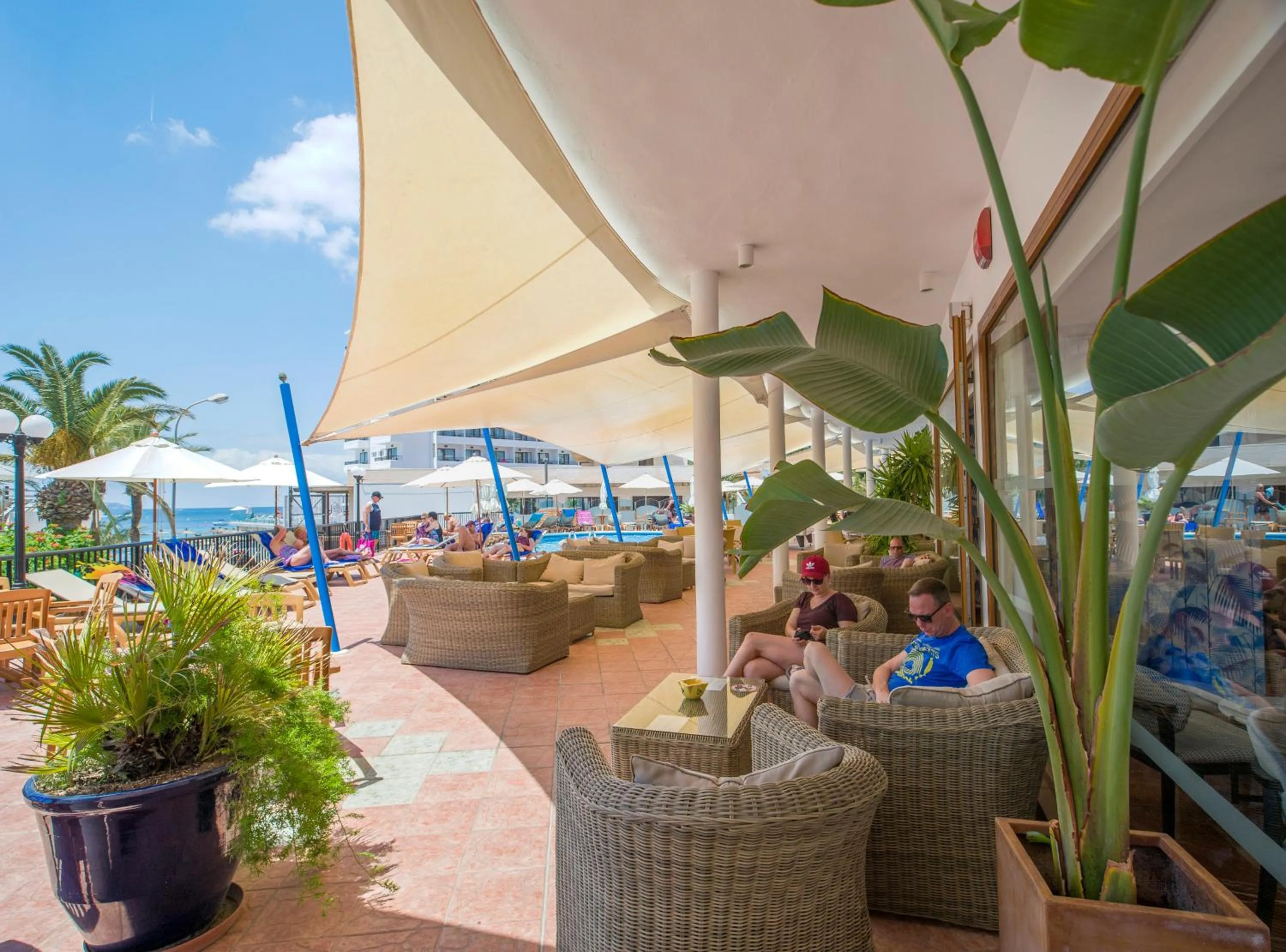 Area and facilities in Hotel Osiris Ibiza