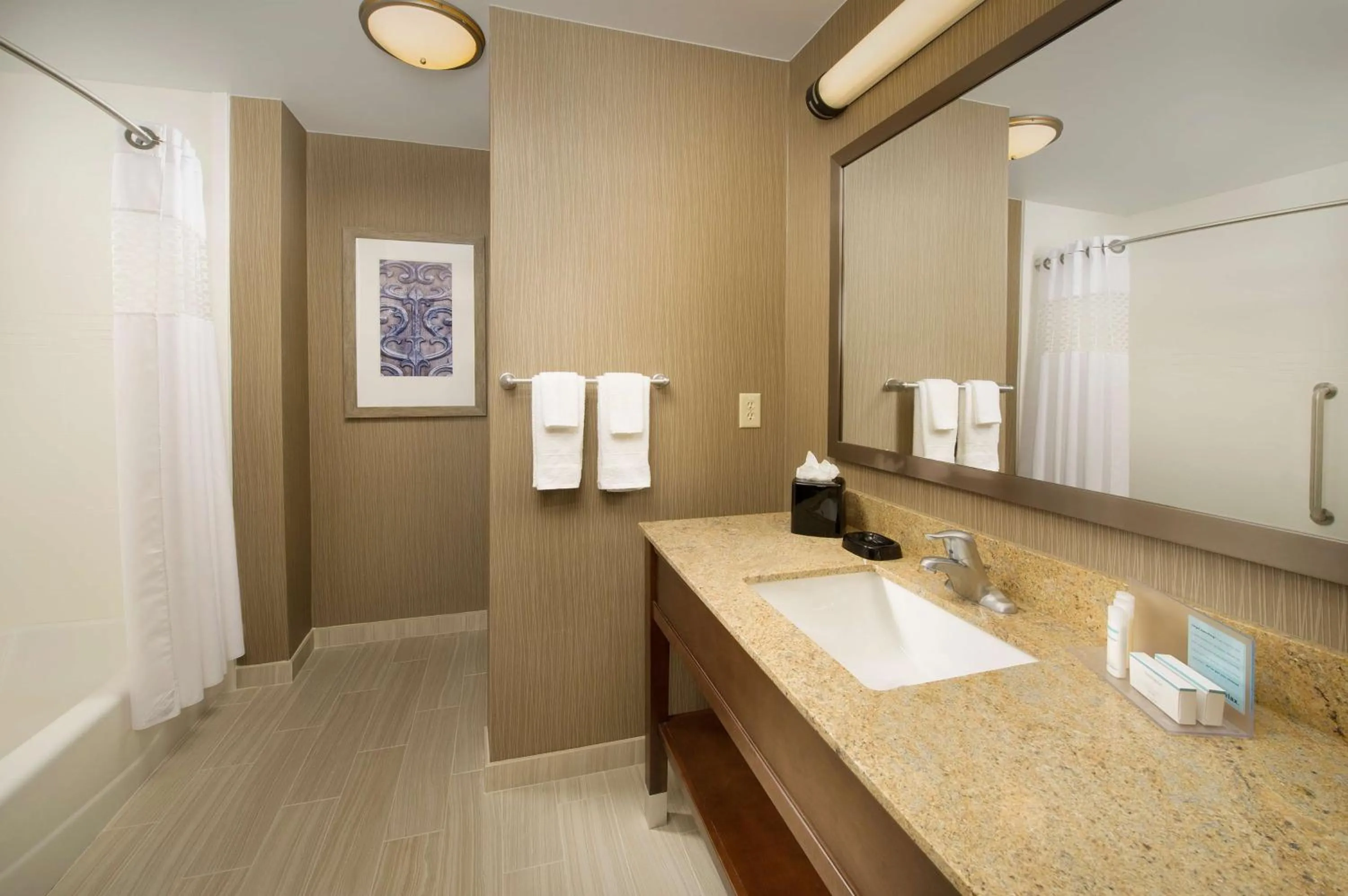 Shower in Hampton Inn & Suites San Antonio-Downtown/Market Square