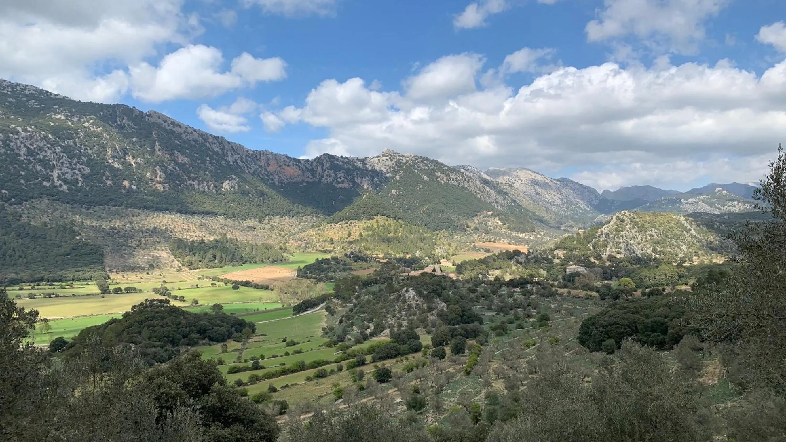 Natural landscape in Finca Hotel Son Palou