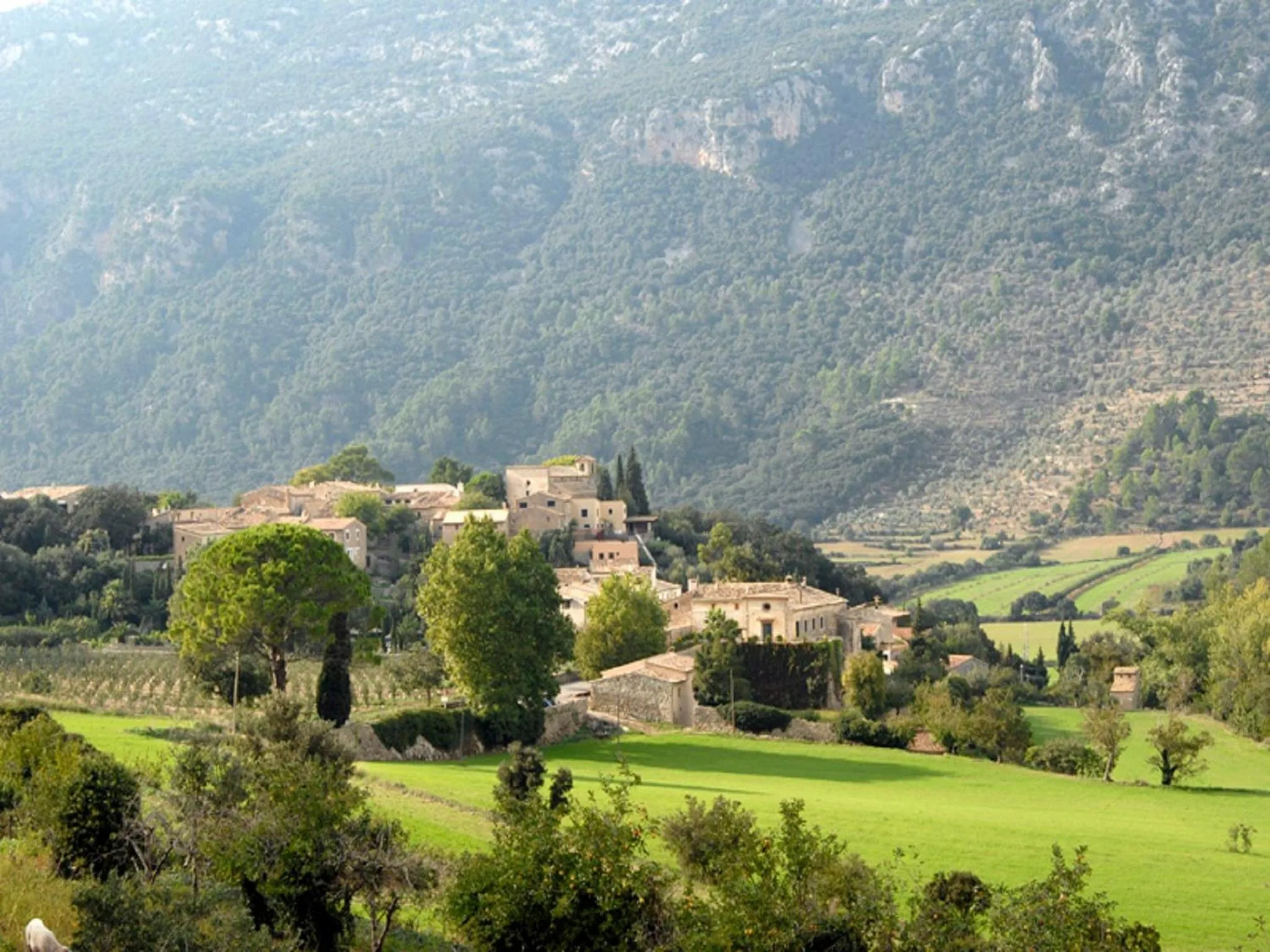 Area and facilities in Finca Hotel Son Palou