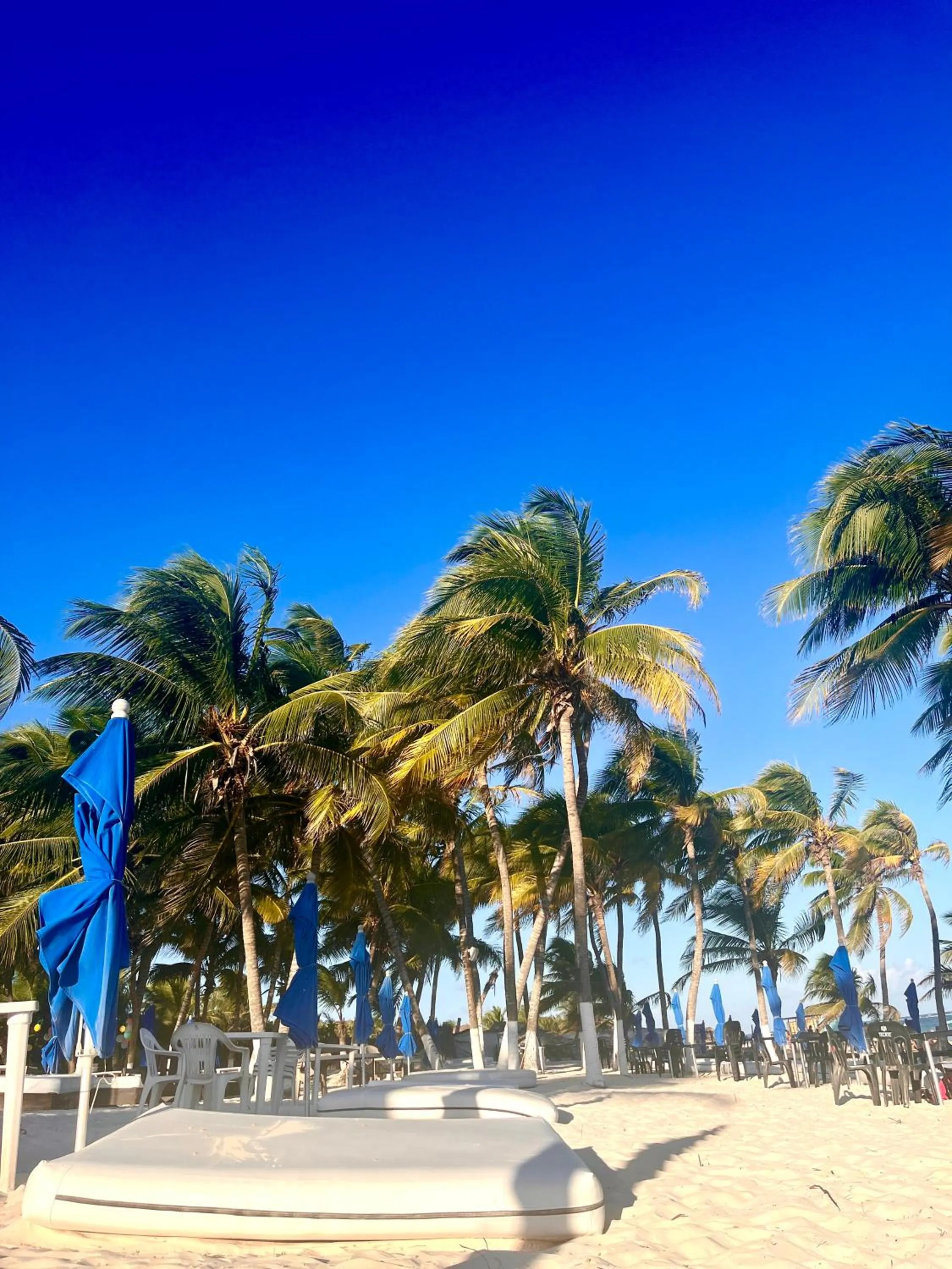 Beach in Elegant 1BR ALDEA ZAMA Tulum