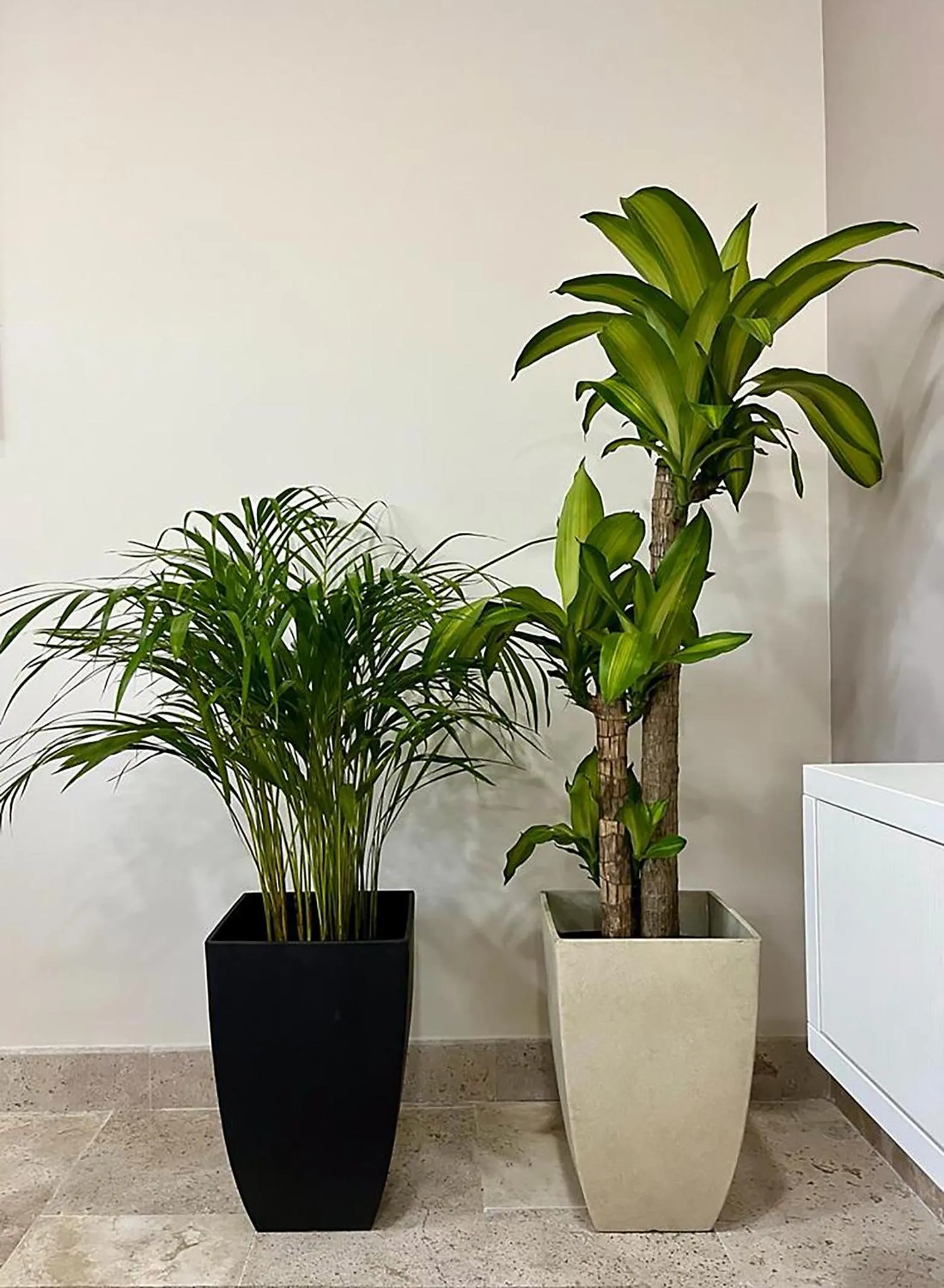 Living room in Elegant 1BR ALDEA ZAMA Tulum
