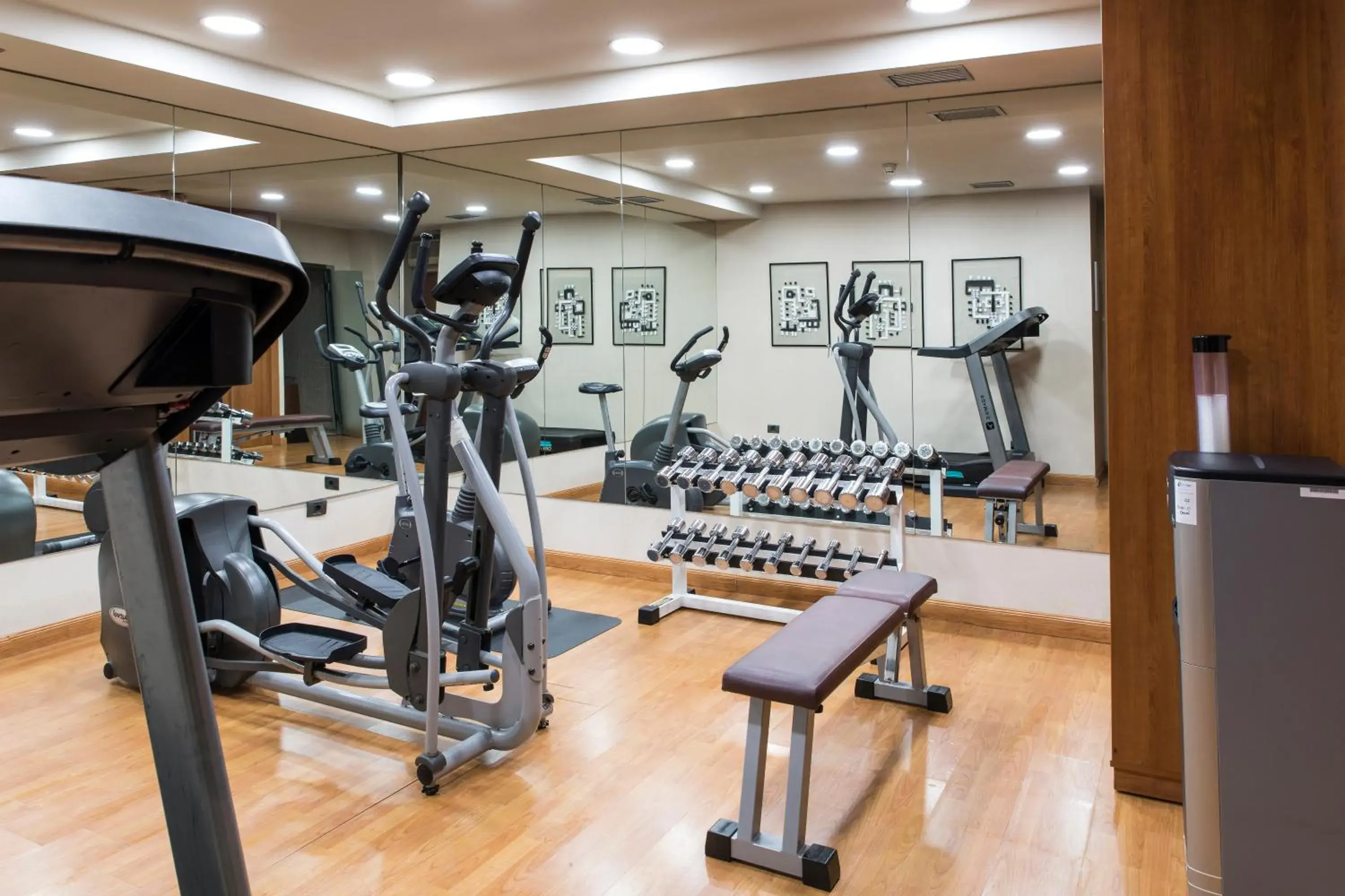 Fitness centre/facilities, Fitness Center/Facilities in Sercotel AB Arganda