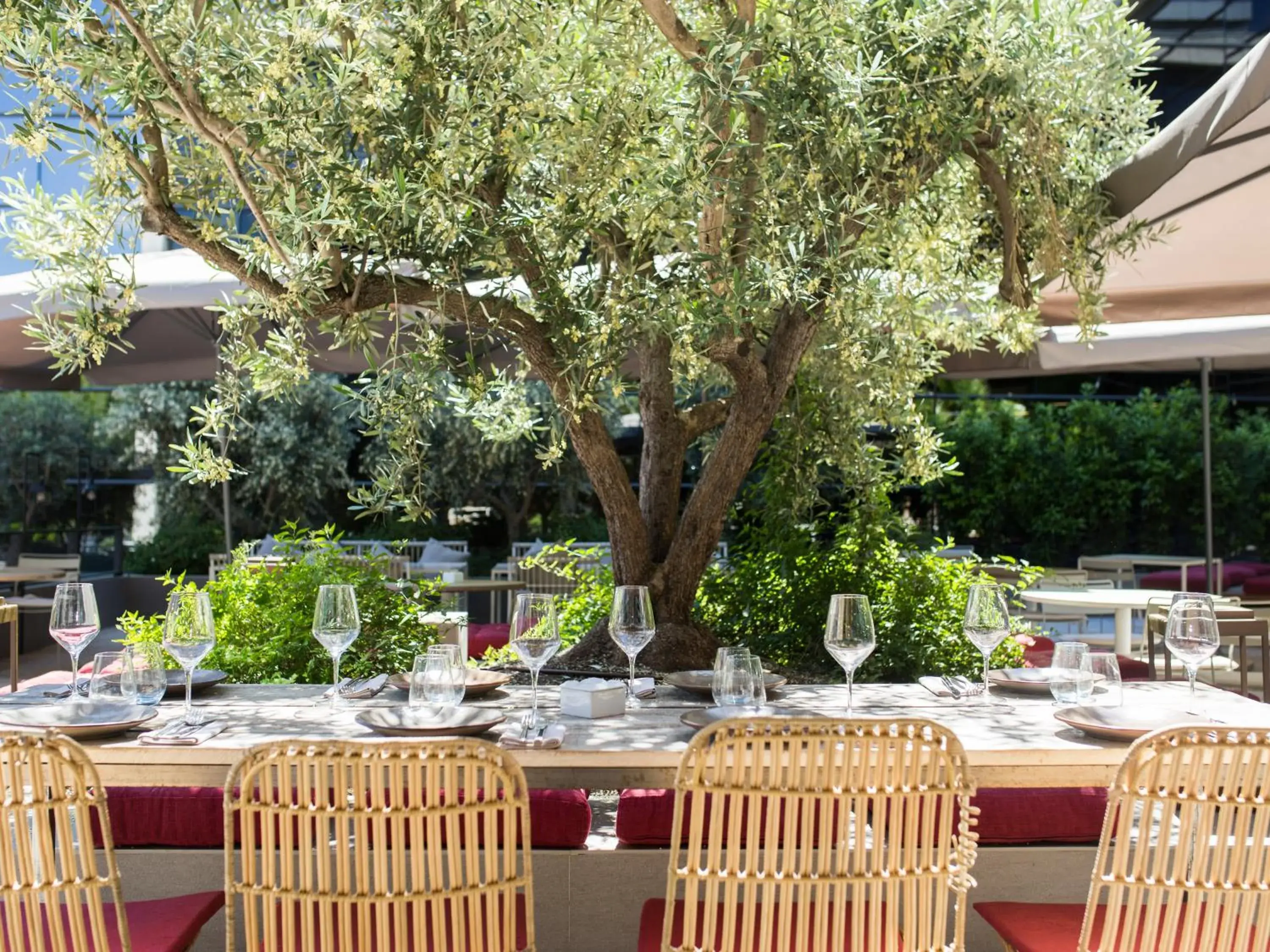 Food and drinks in Aravaca Village Hotel Food and drinks in Aravaca Village Hotel