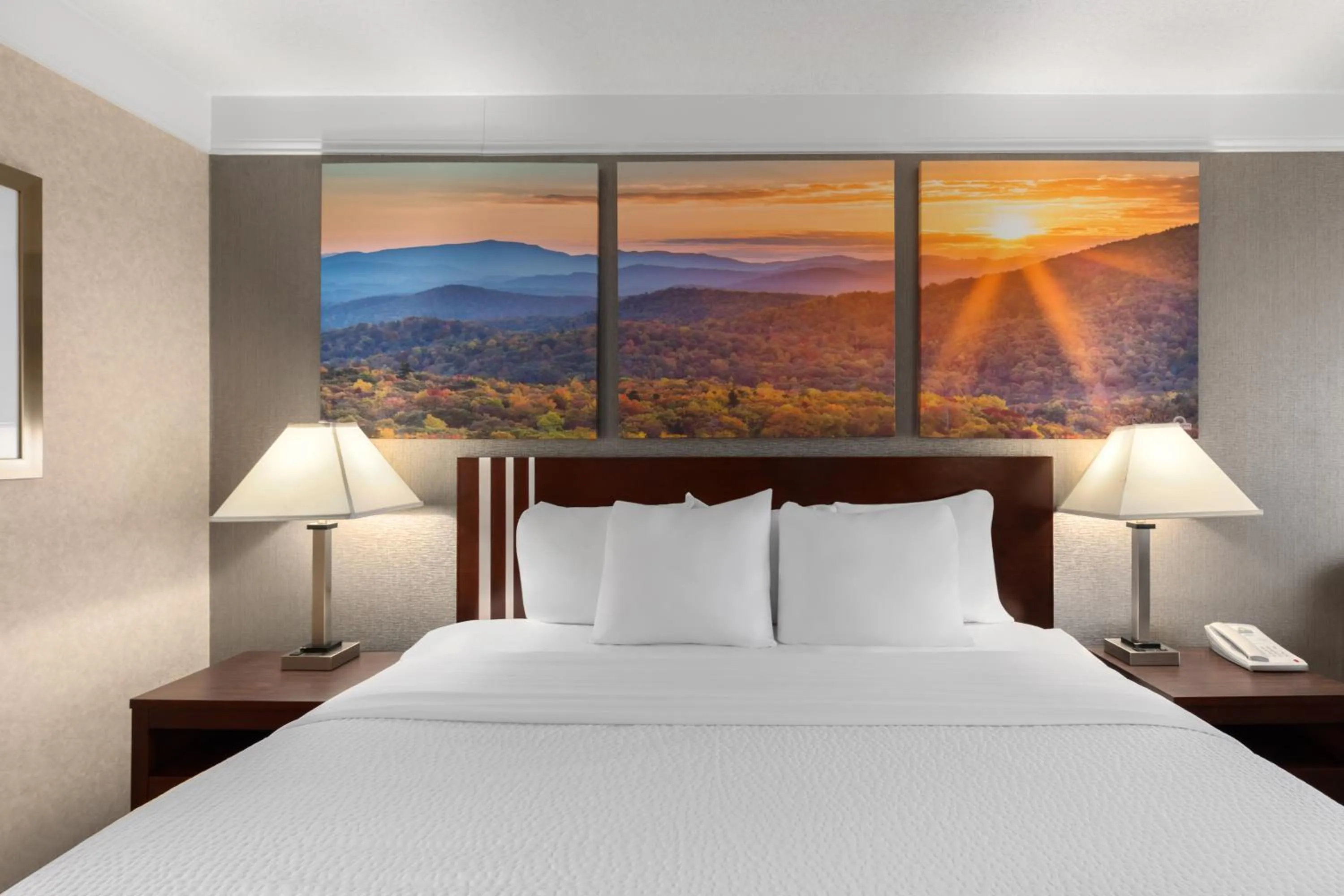 Bed in Days Inn by Wyndham Columbia Kentucky