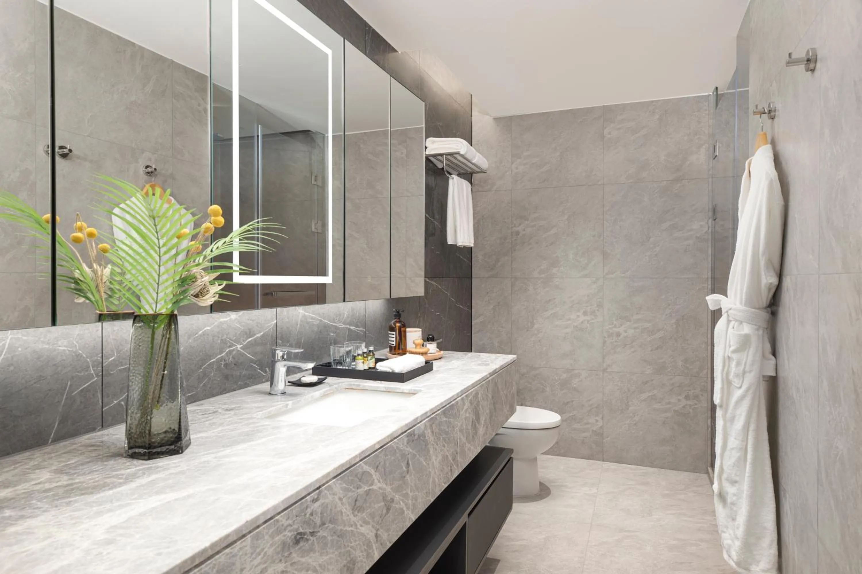 Toilet in Somerset Future Center Wuhan