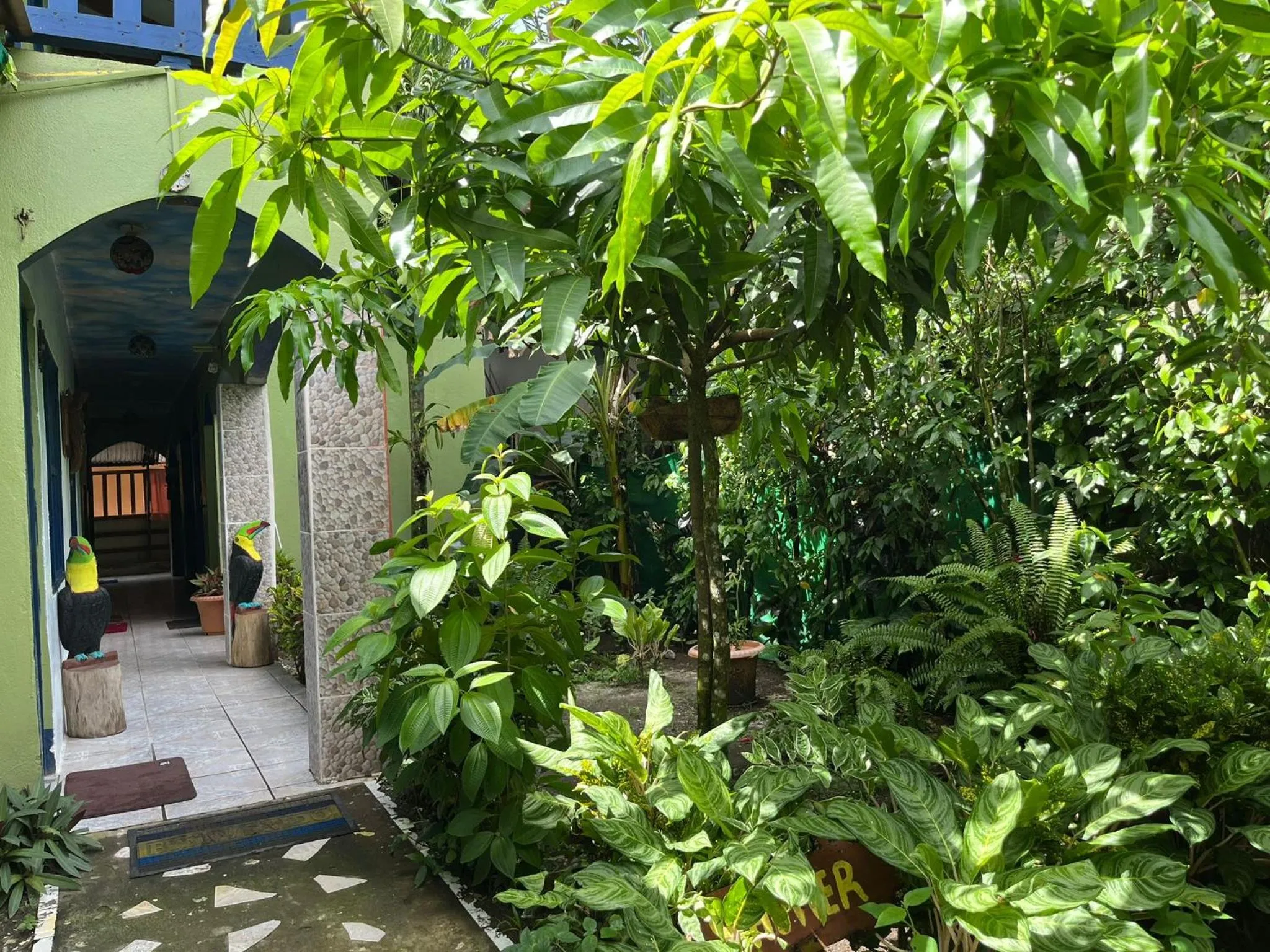 Cabinas Tortuguero Natural