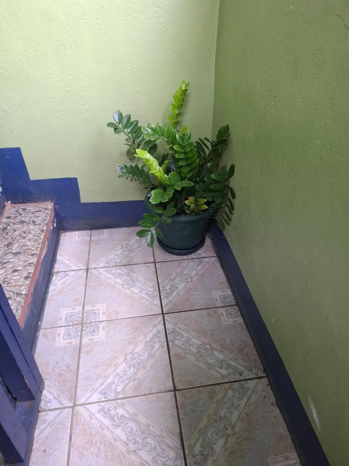 Cabinas Tortuguero Natural