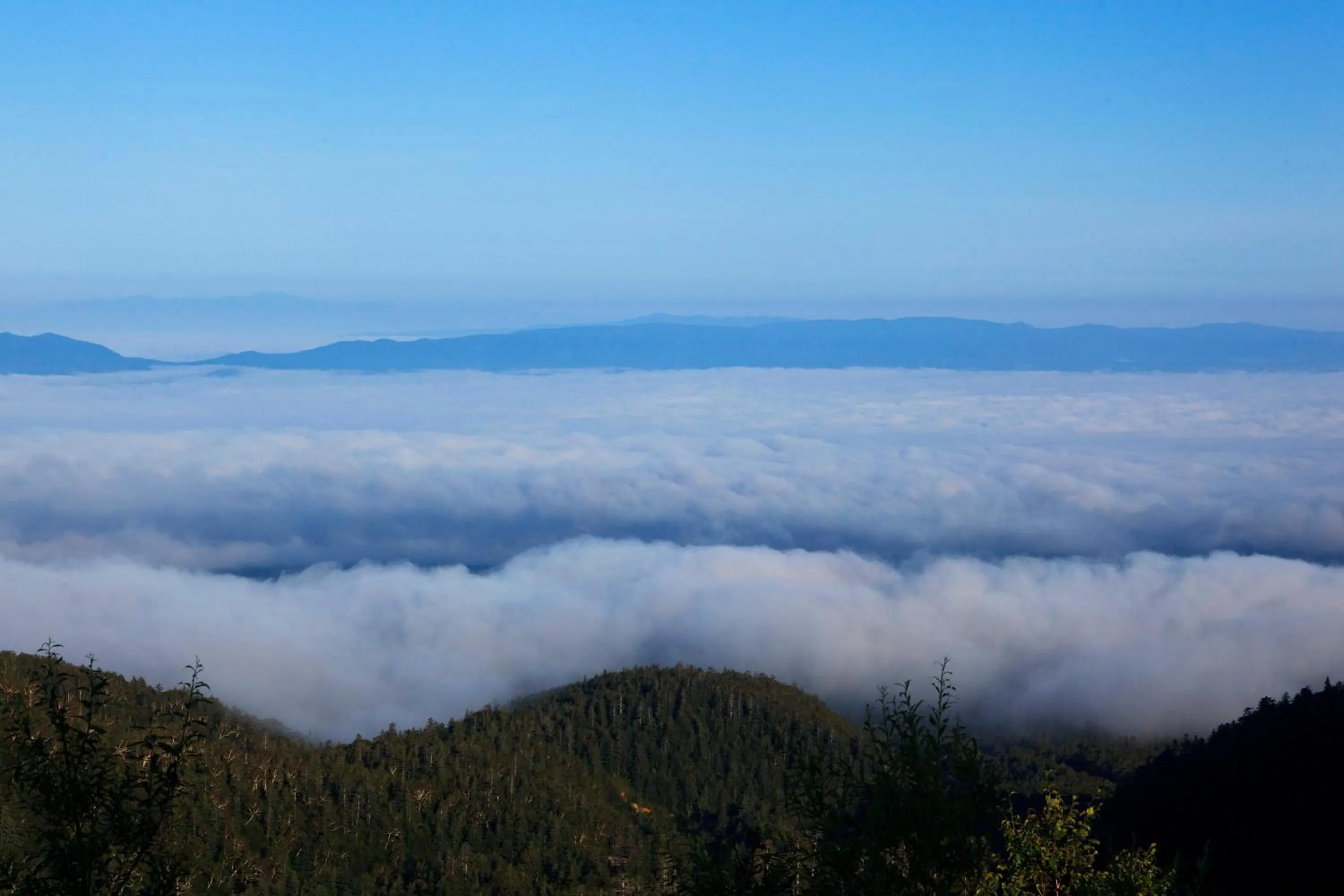 Area and facilities in Kamihoroso