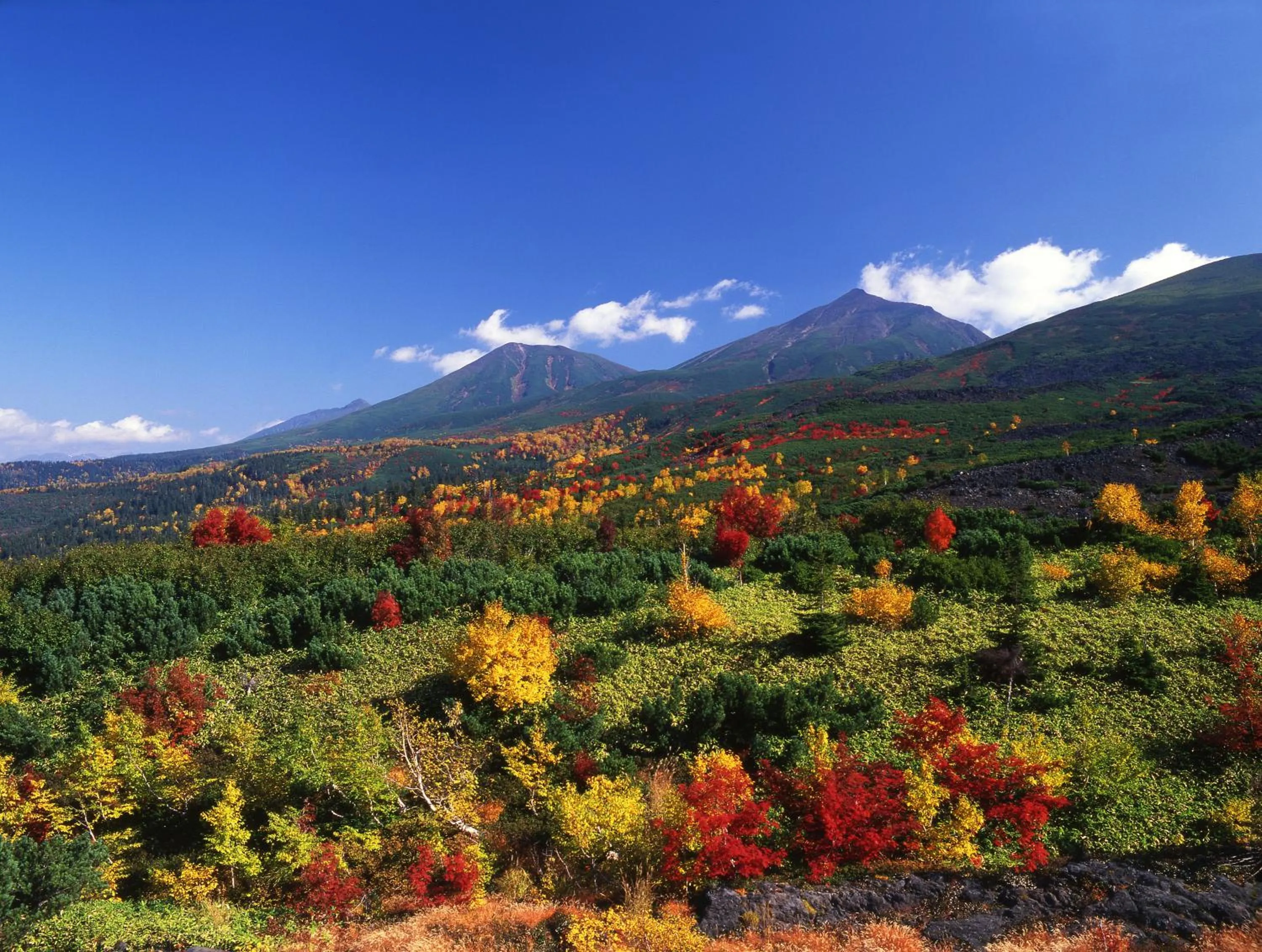 Area and facilities in Kamihoroso