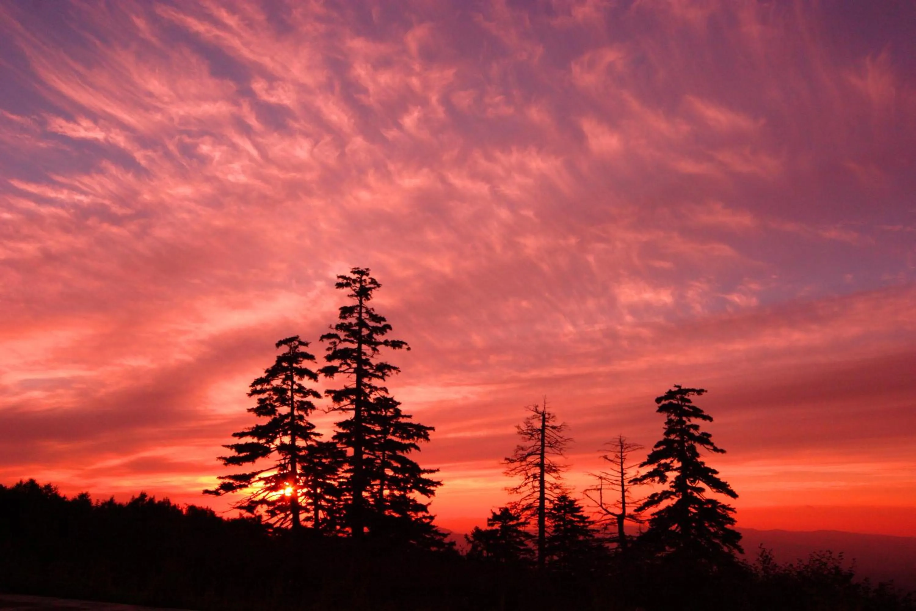 View (from property/room) in Kamihoroso