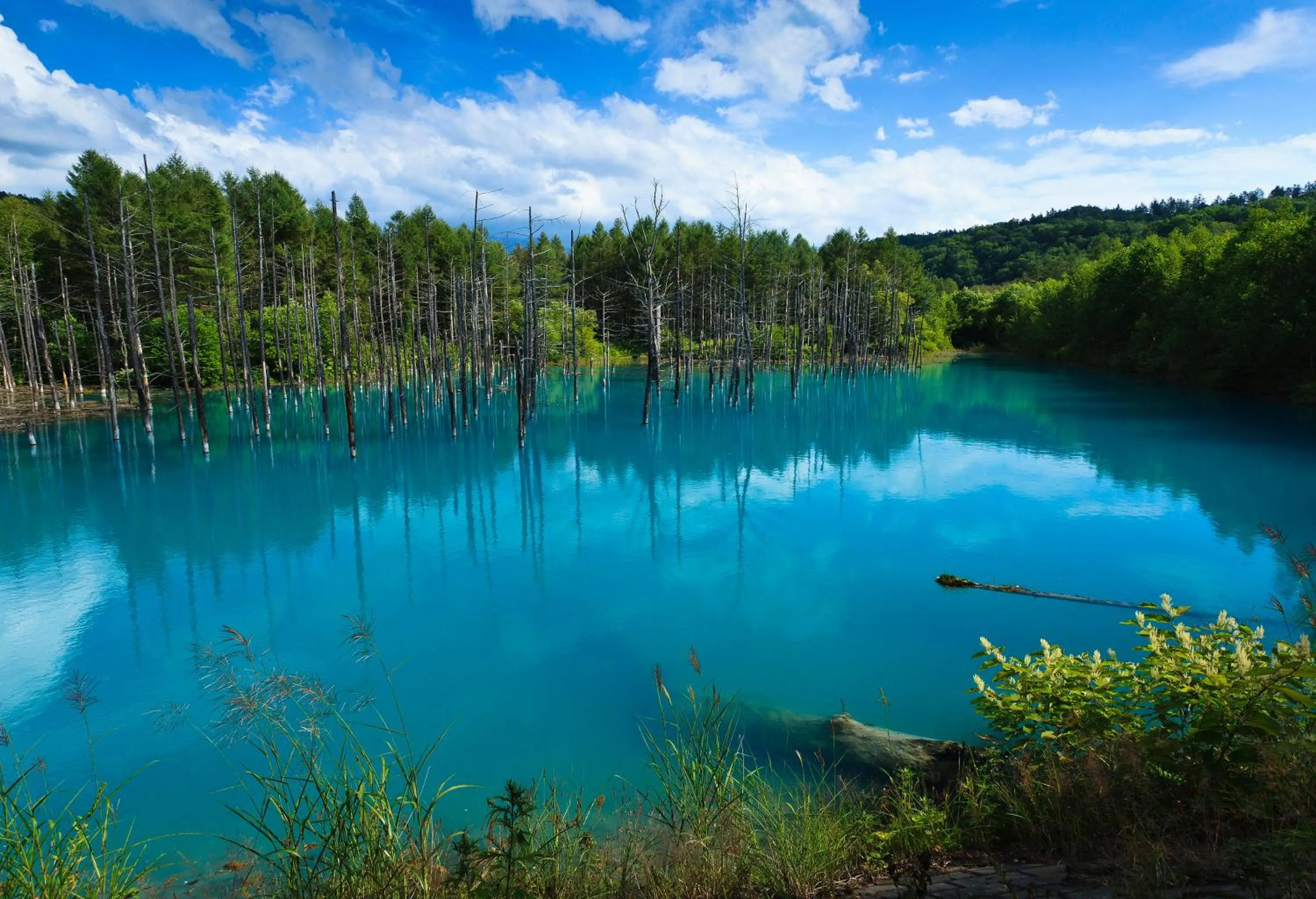 Area and facilities in Kamihoroso