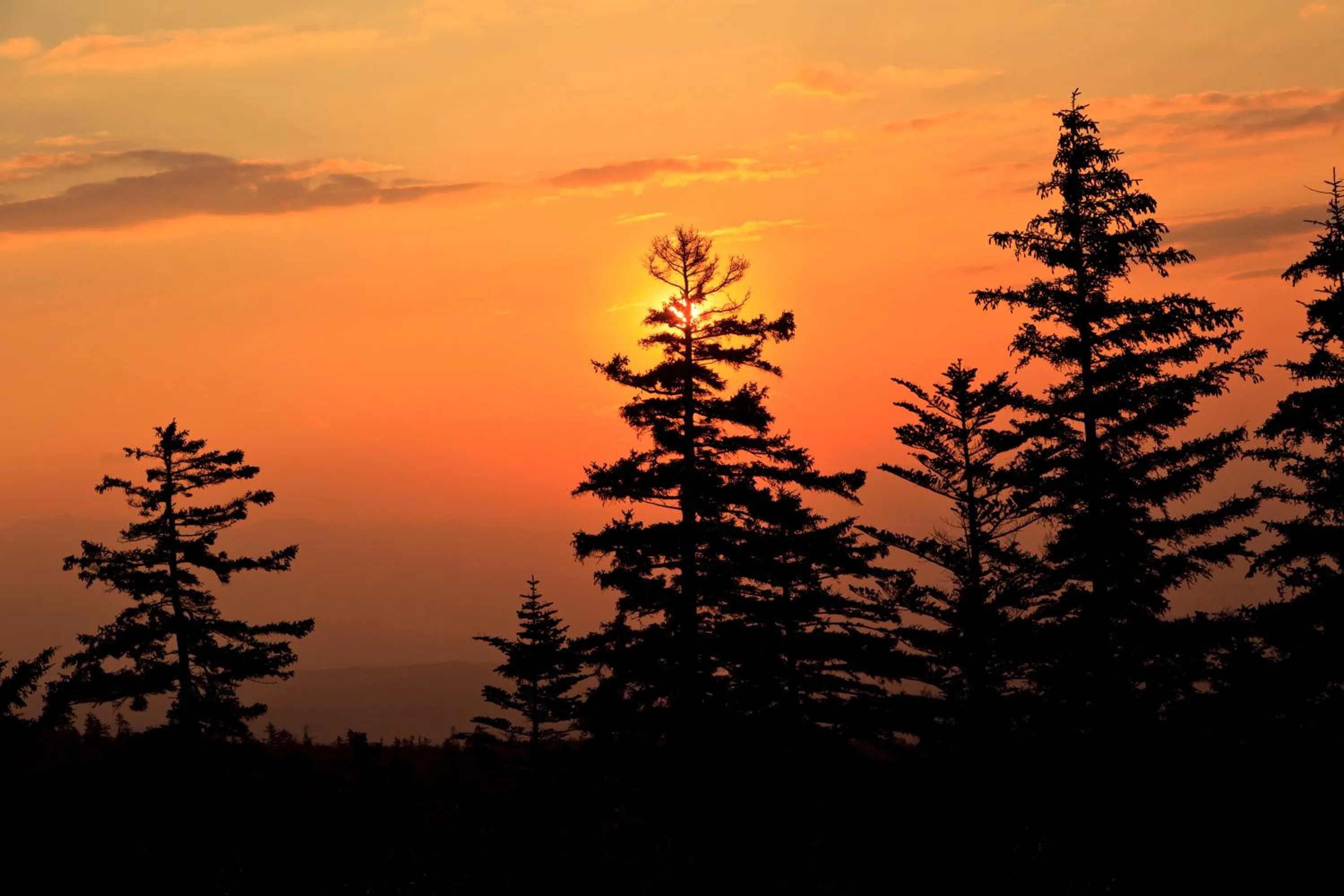 Area and facilities in Kamihoroso