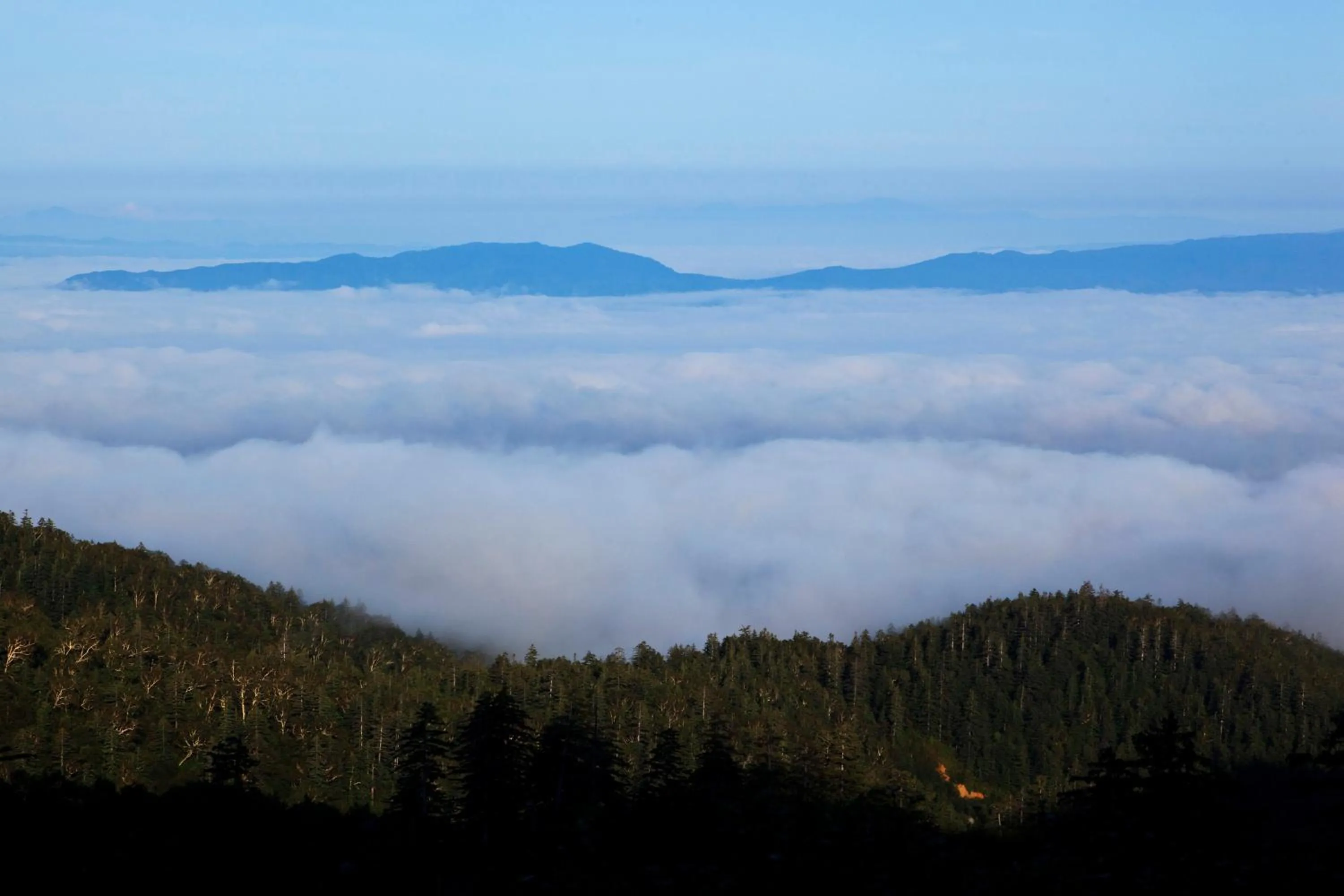 Area and facilities in Kamihoroso