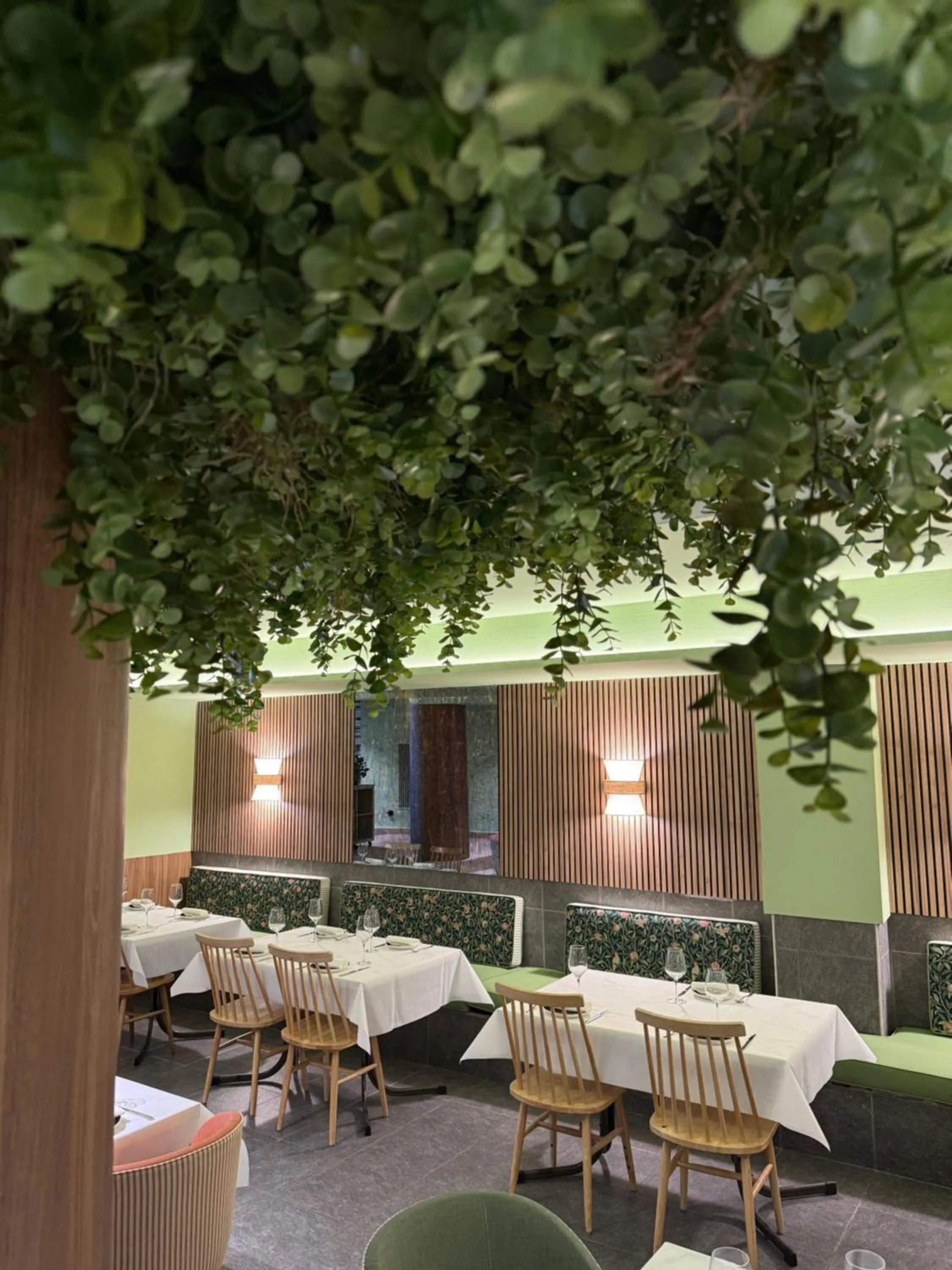 Restaurant/places to eat in Hotel Real