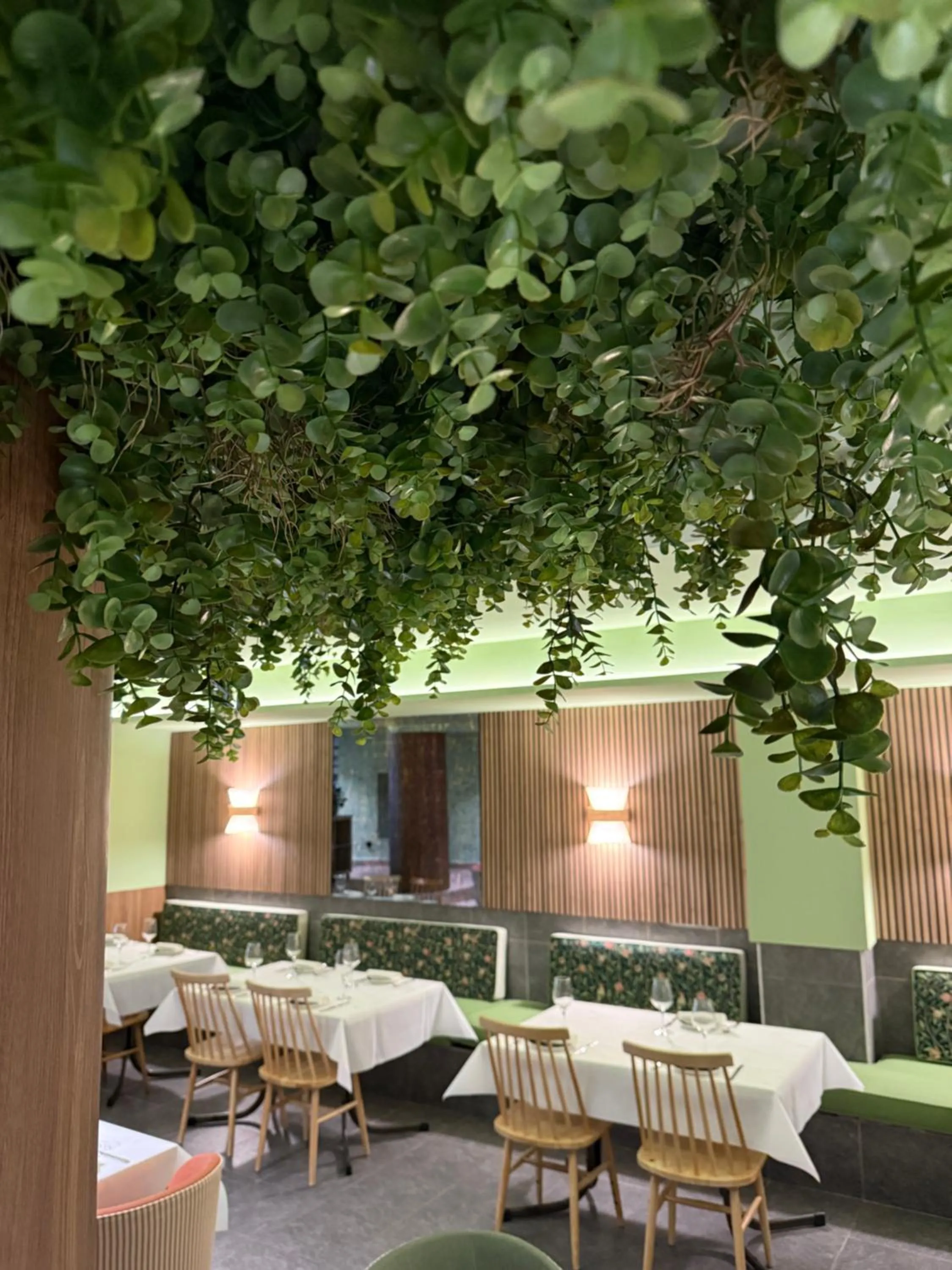 Restaurant/places to eat in Hotel Real