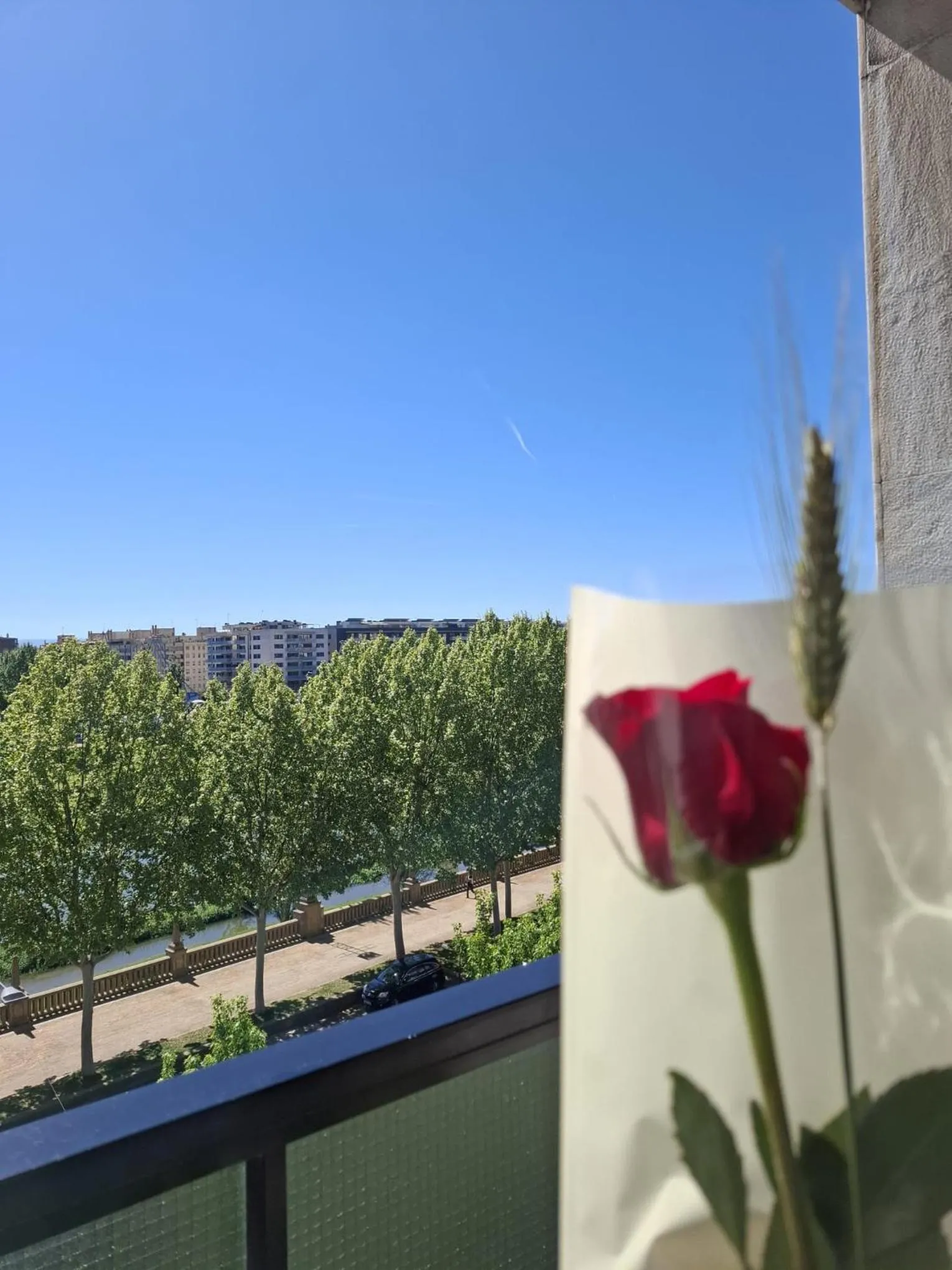 View (from property/room) in Hotel Real