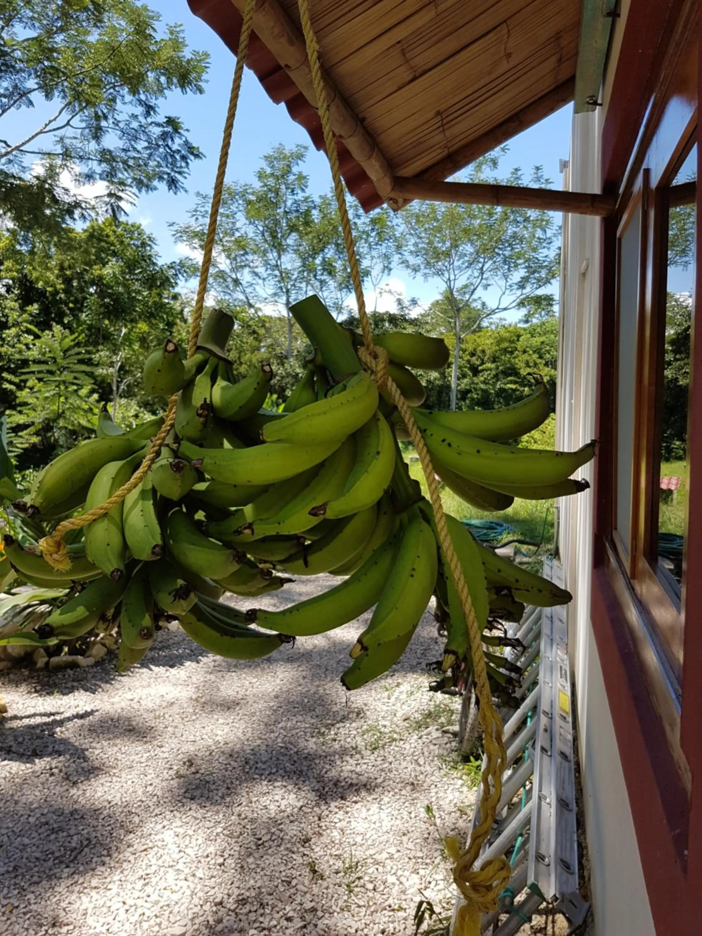BBQ facilities in Auto Hotel Paraíso Inn