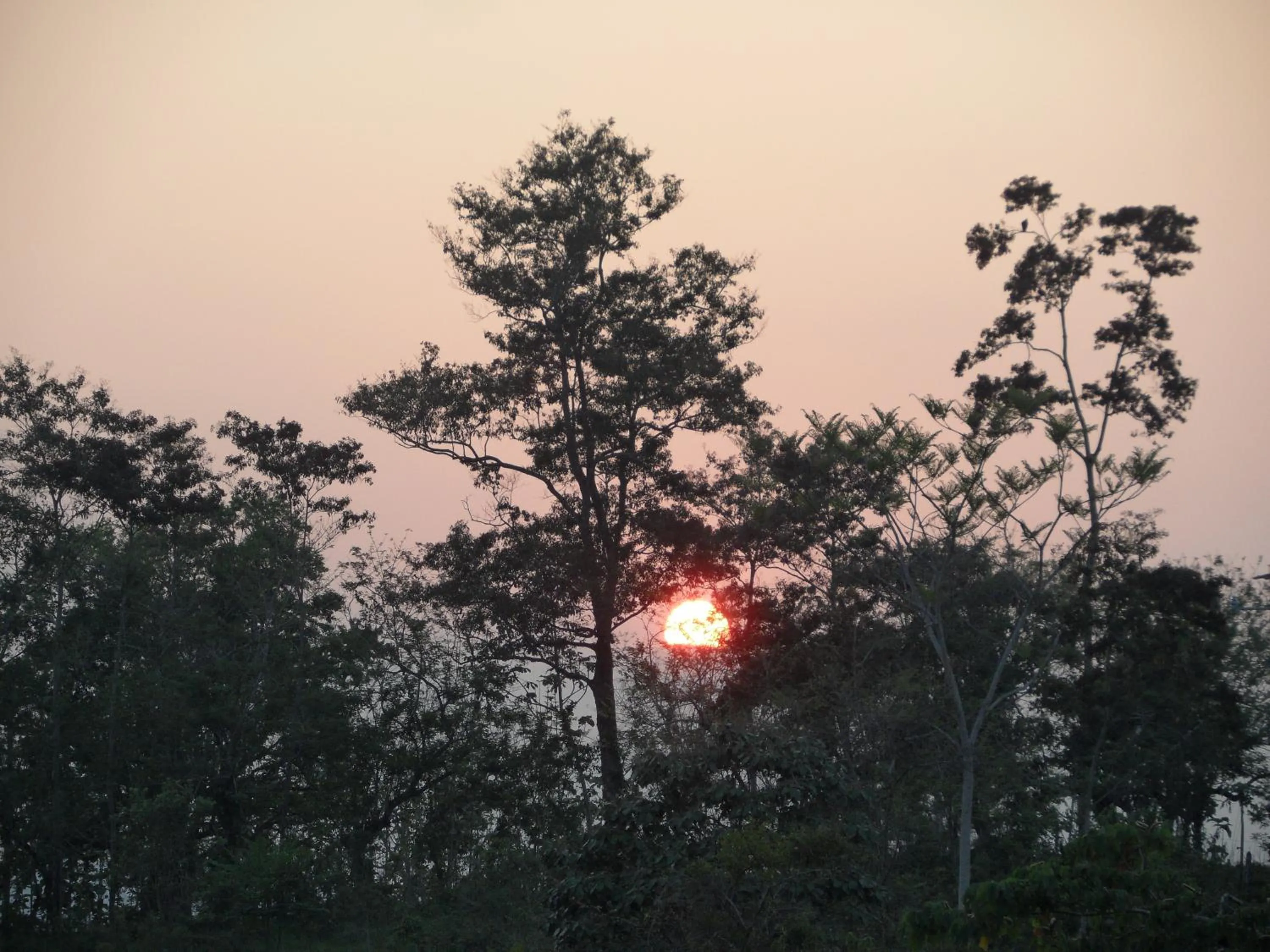 Area and facilities in Auto Hotel Paraíso Inn