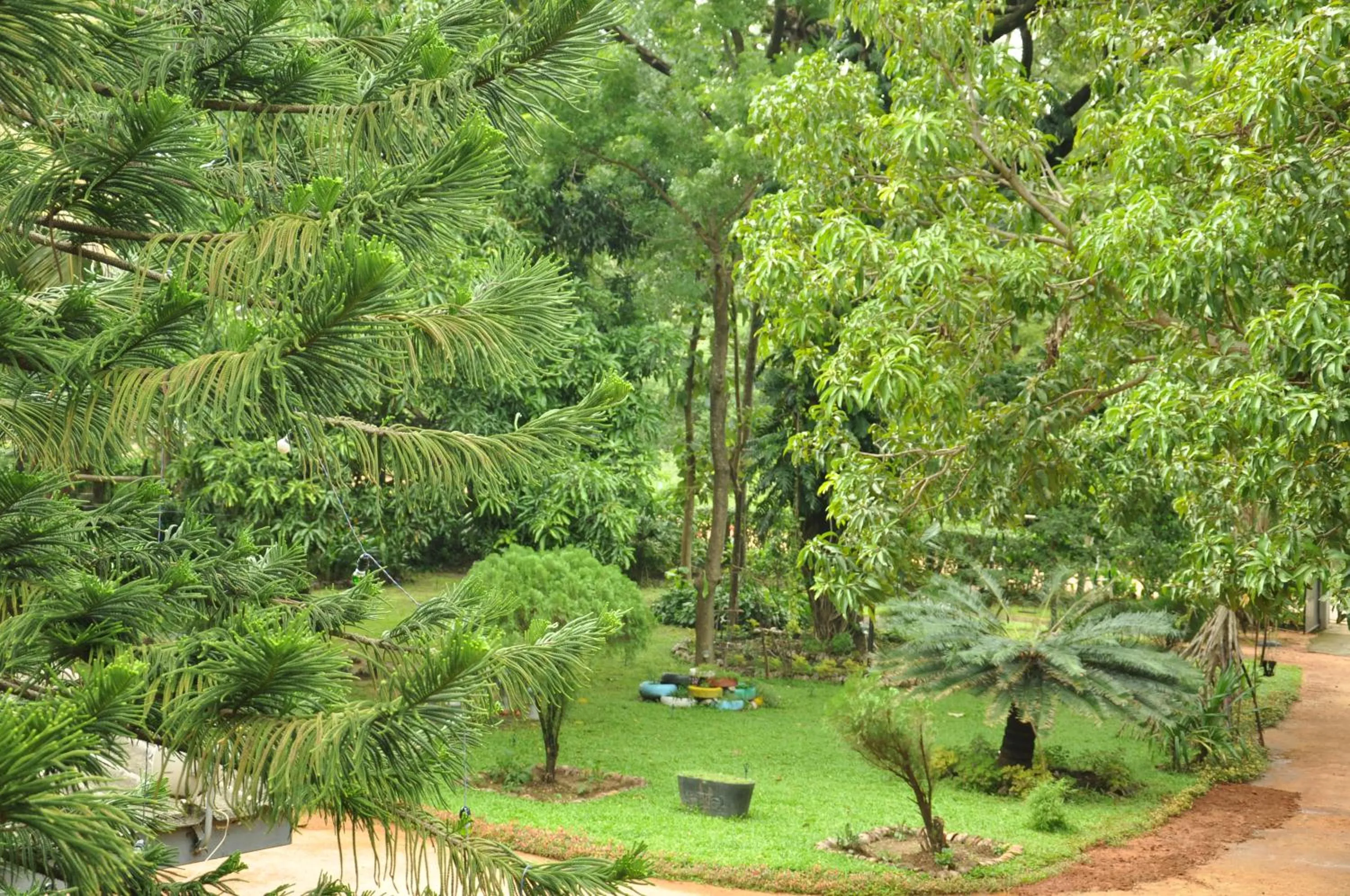 Garden in Sujatha Tourist Rest
