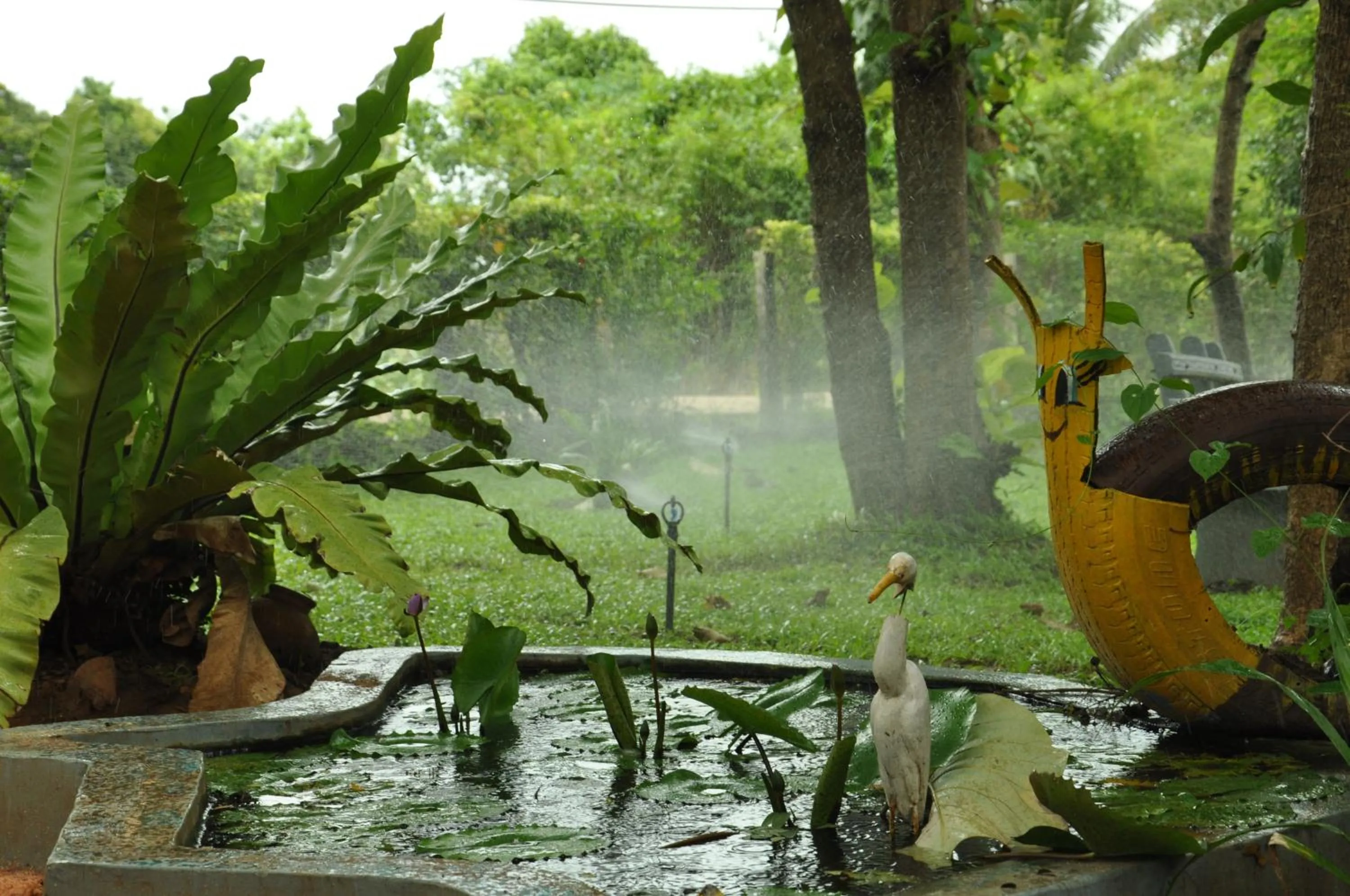 On site in Sujatha Tourist Rest