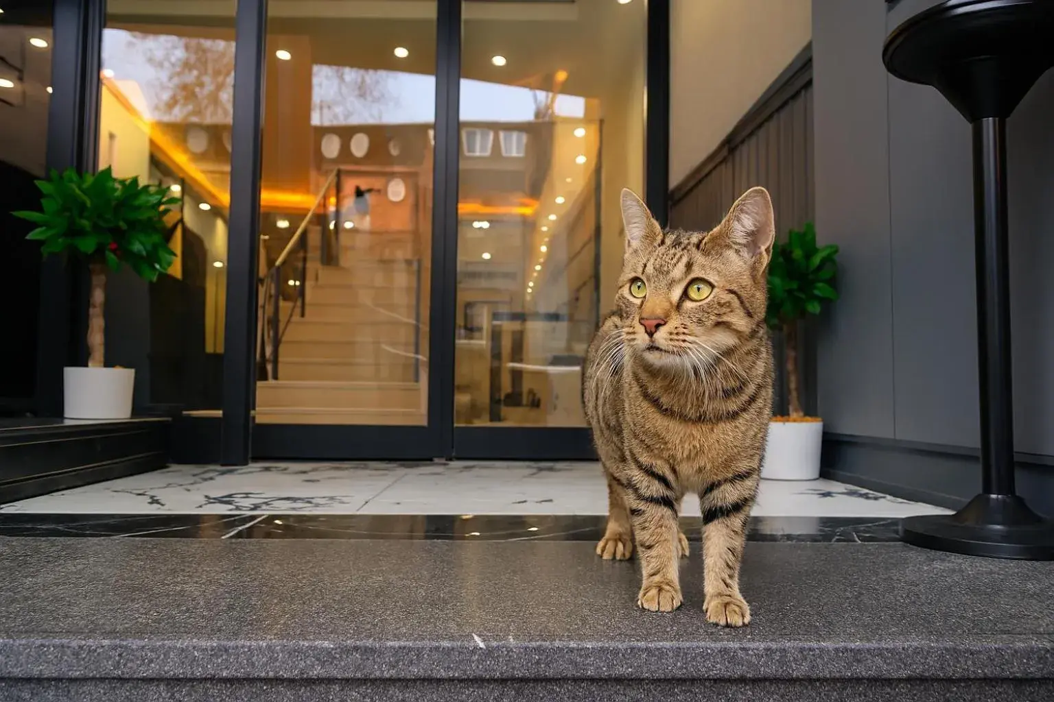 Facade/entrance in CALENBERG HOTEL Facade/entrance in CALENBERG HOTEL