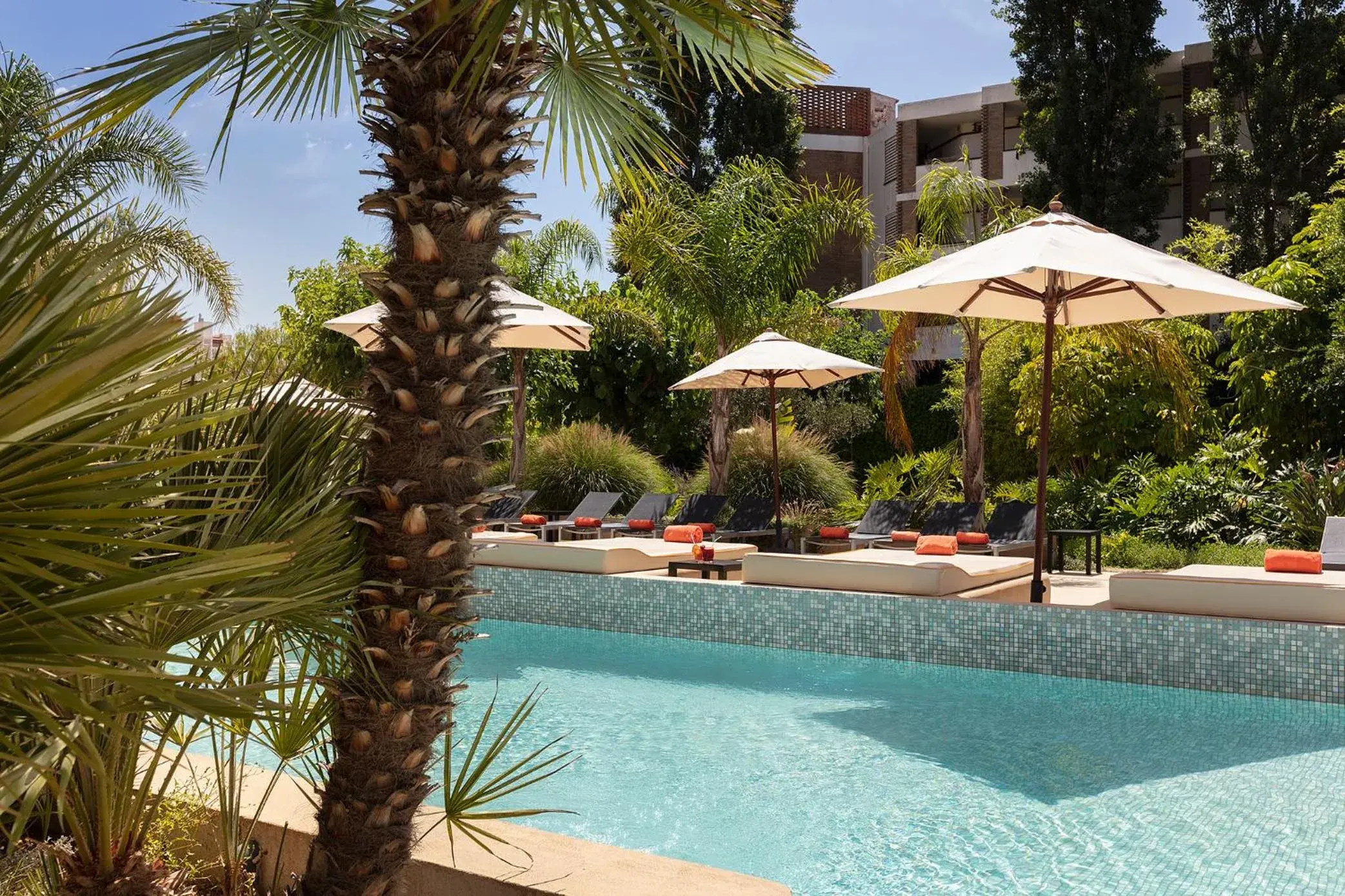 Swimming pool in Luna Club Hotel Yoga & Spa 4Sup Swimming pool in Luna Club Hotel Yoga & Spa 4Sup