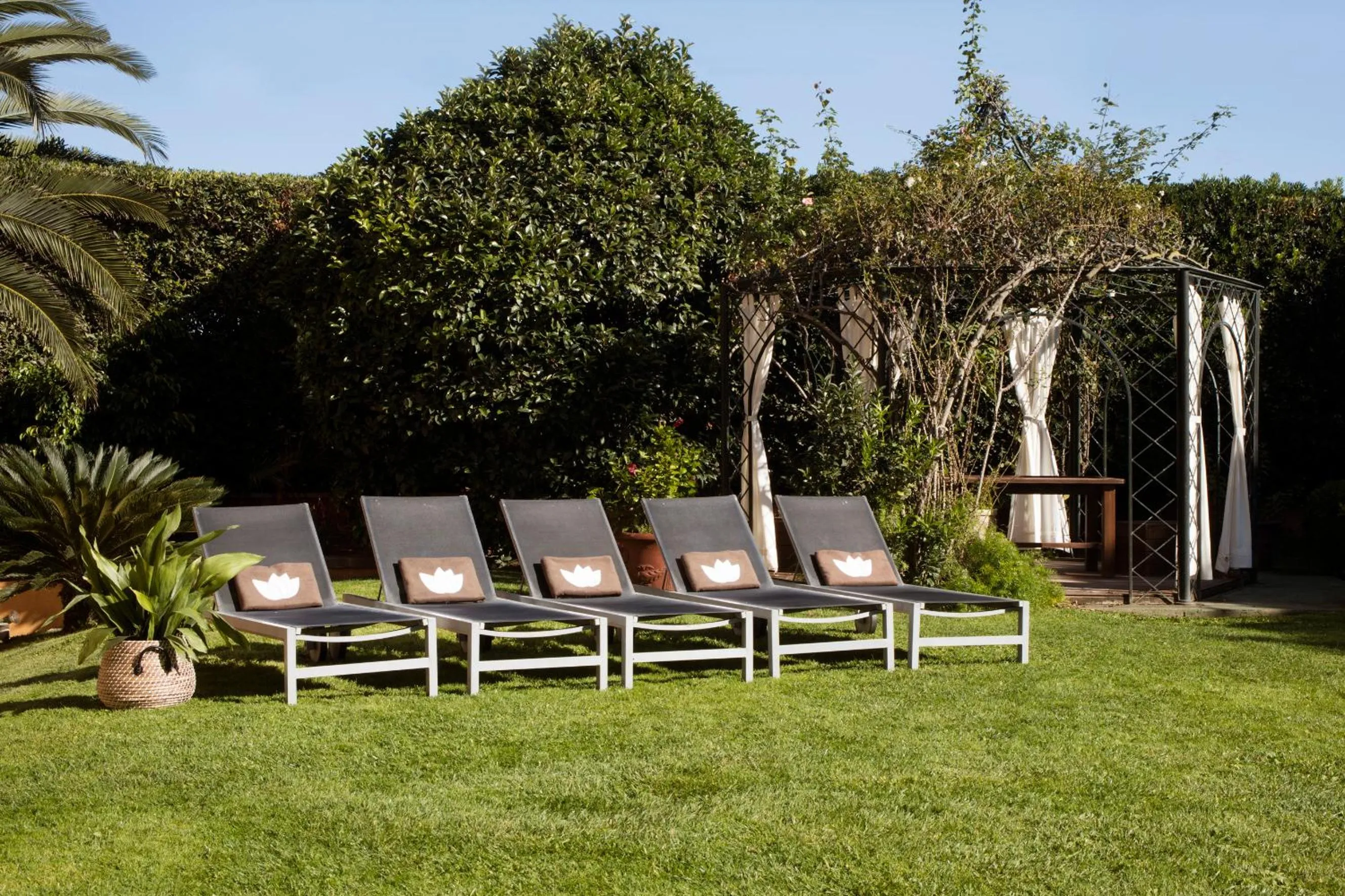 Area and facilities in Luna Park Hotel Yoga & Spa