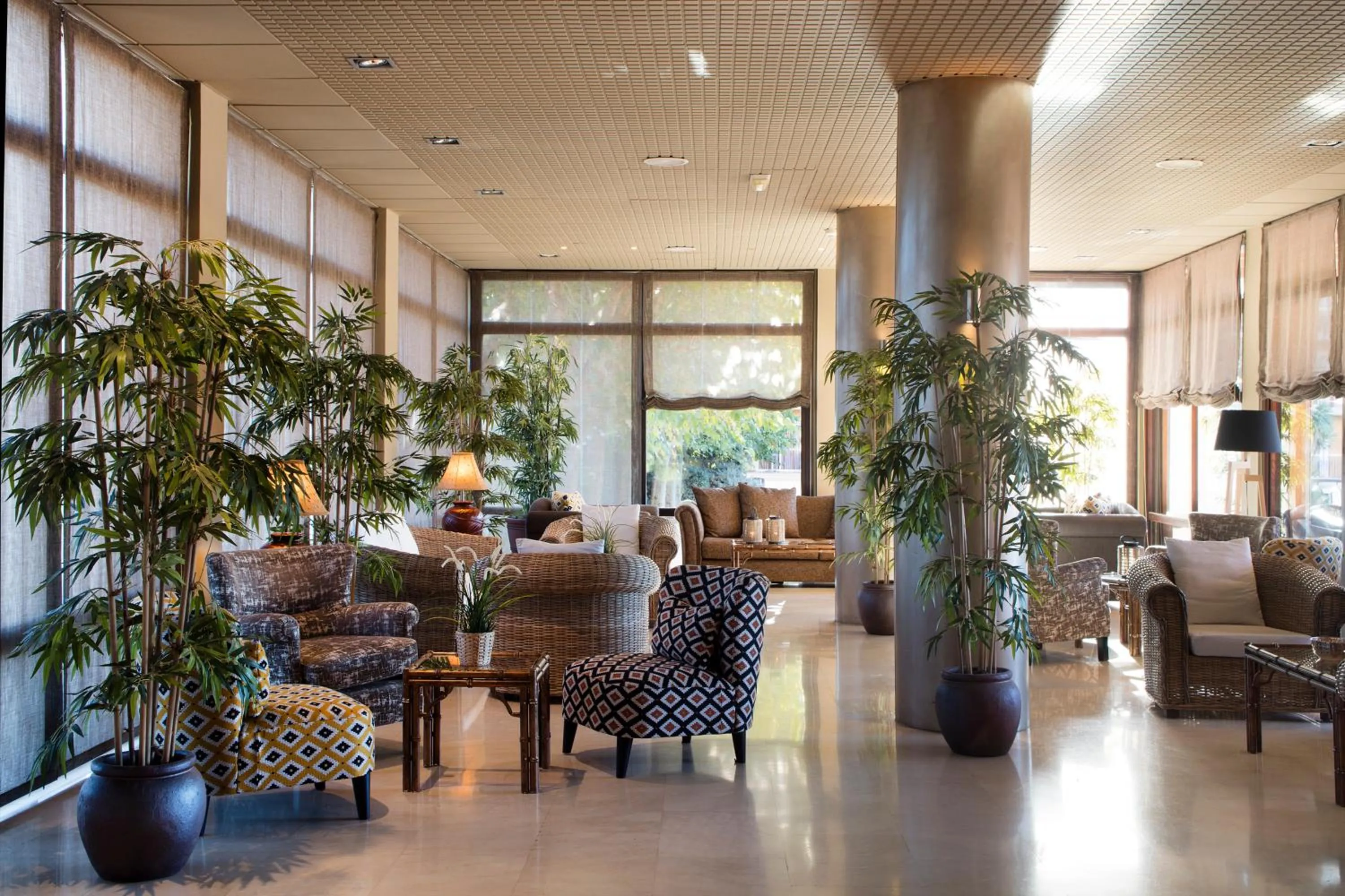 Lounge or bar in Luna Park Hotel Yoga & Spa