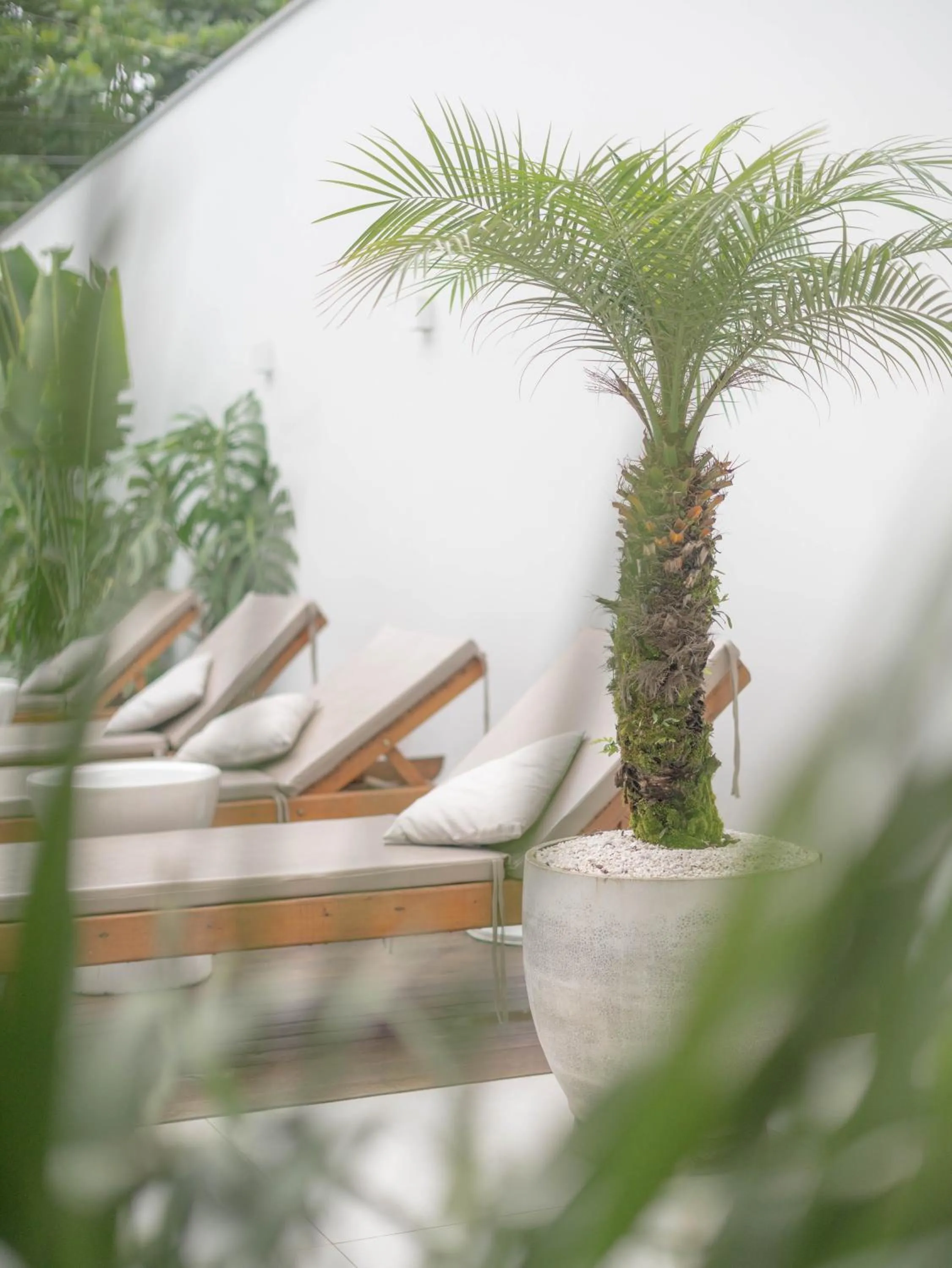 Olisa Hotel Boutique