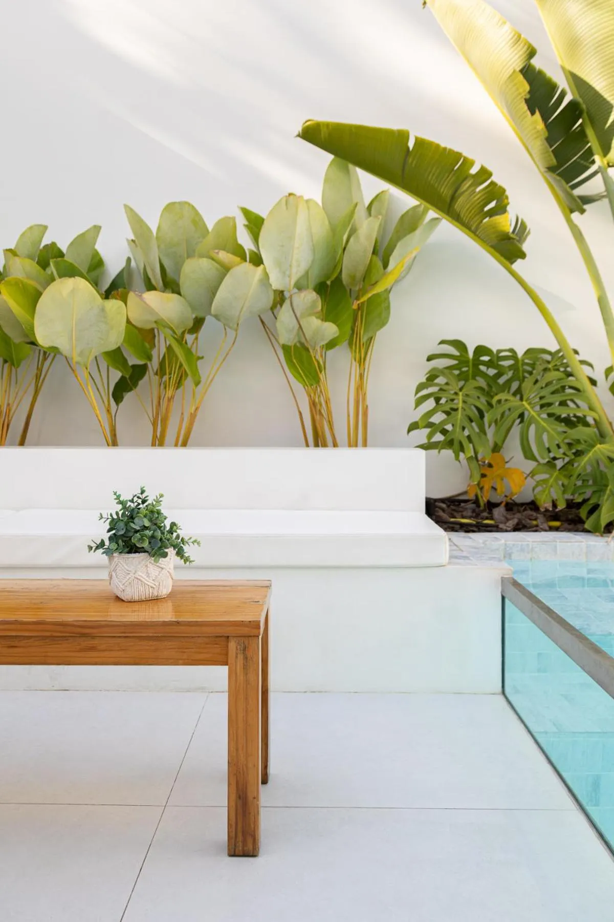 Garden in Olisa Hotel Boutique