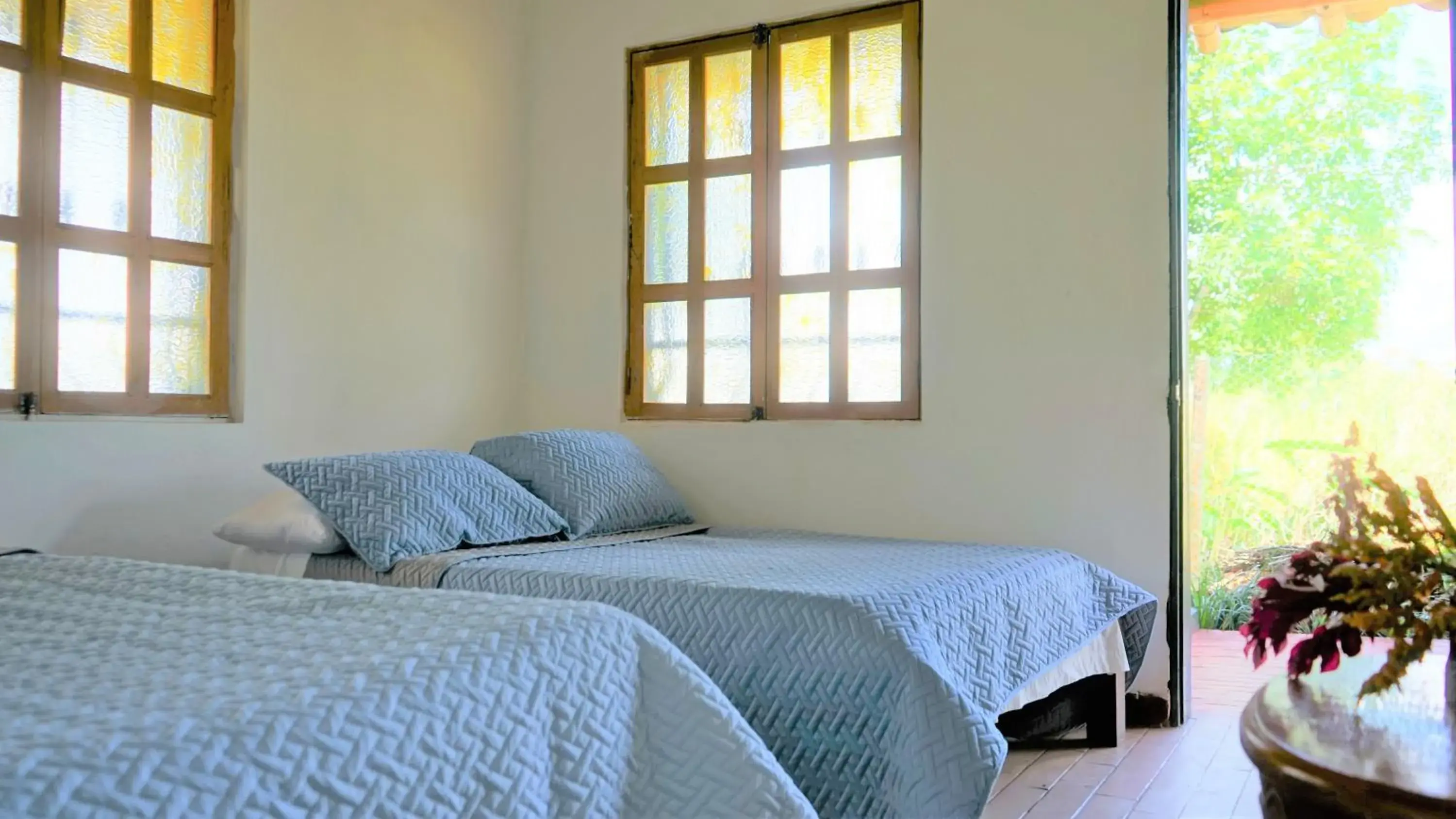 Deluxe Double or Twin Room with Garden View in El Prado EcoHotel Deluxe Double or Twin Room with Garden View in El Prado EcoHotel