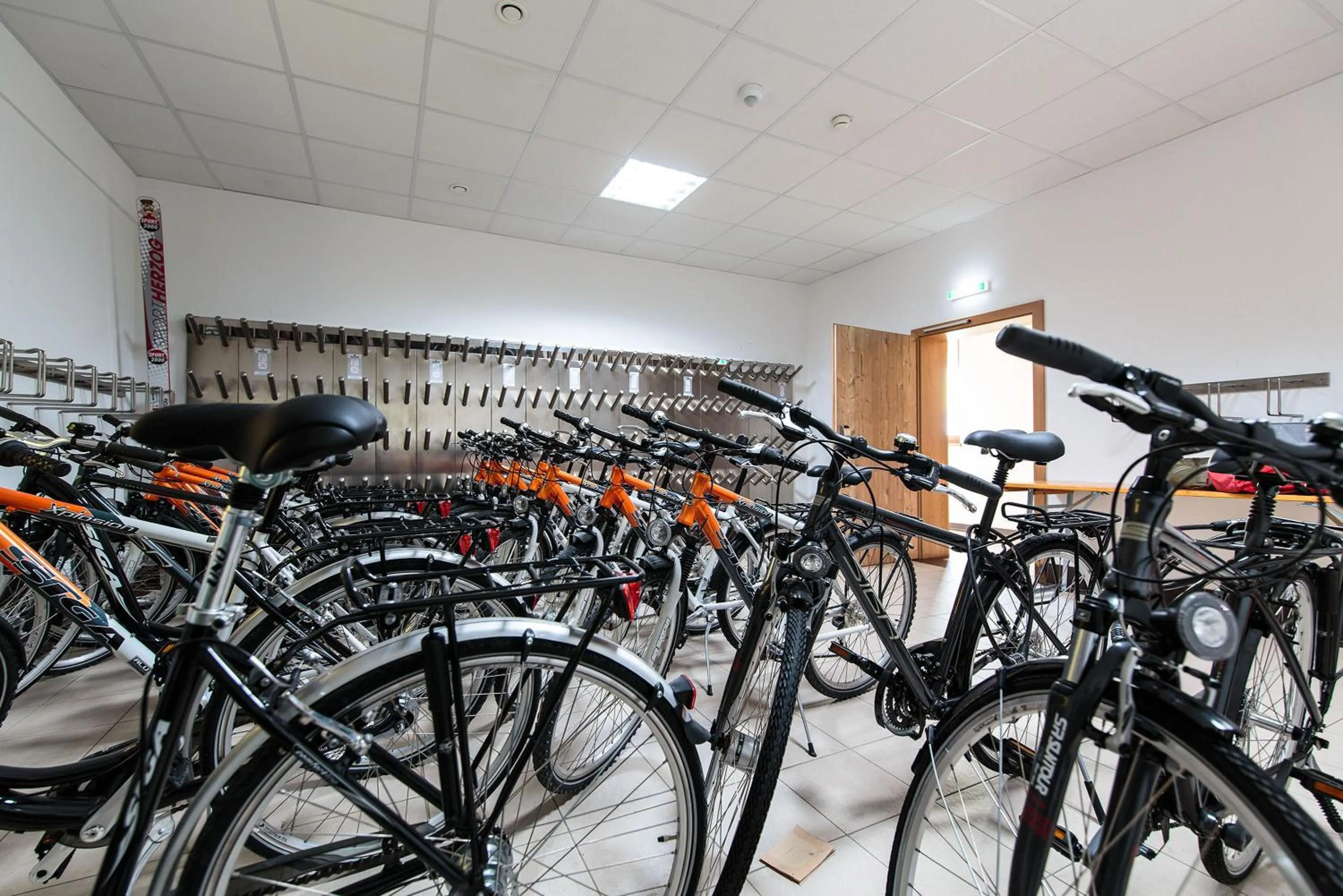 Activities in Hotel der Wolkensteinbär