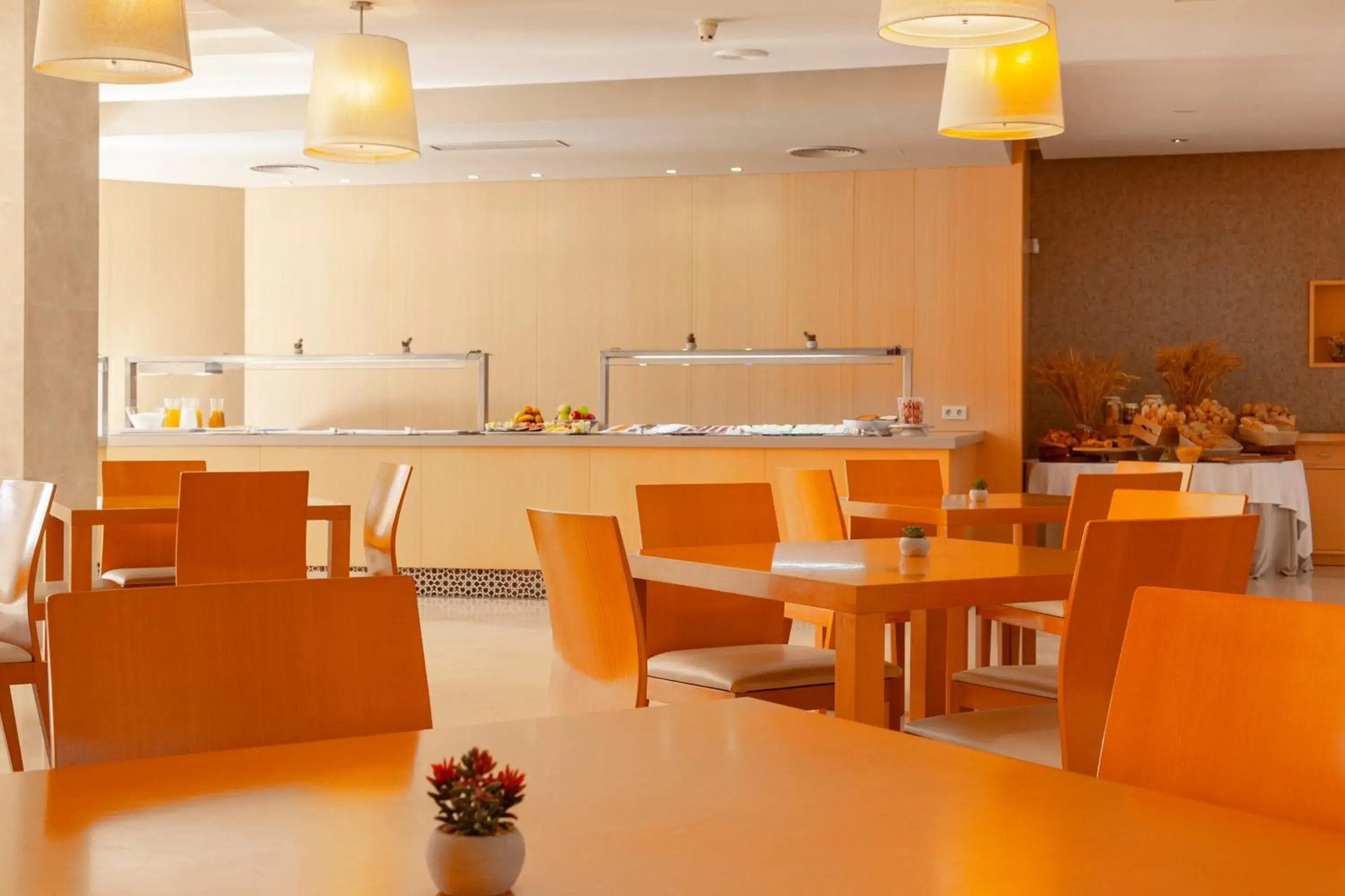 Restaurant/places to eat in Hotel Macià Doñana Restaurant/places to eat in Hotel Macià Doñana