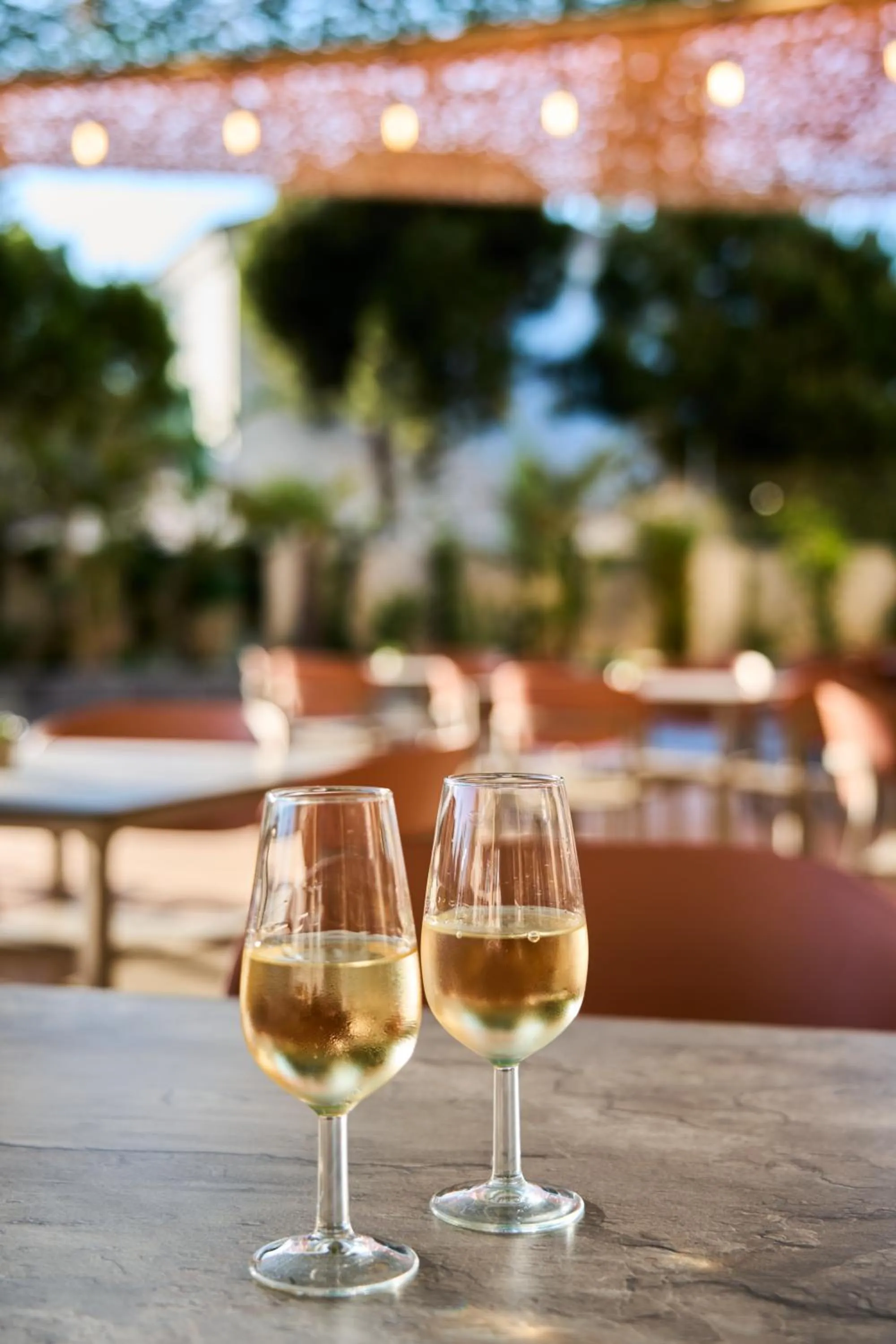 Balcony/Terrace in Hotel Macià Doñana