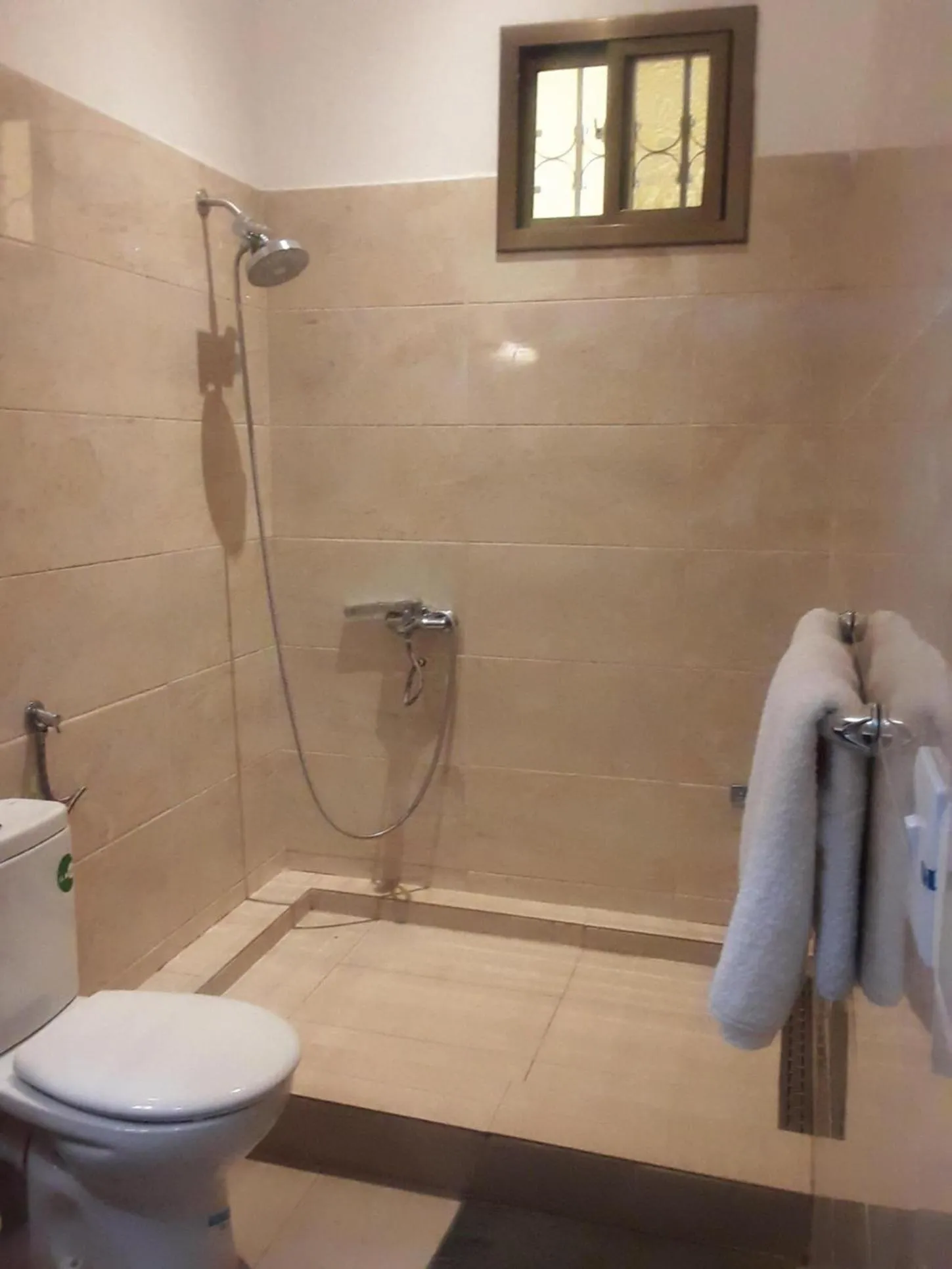 Shower in Riyan Apartment