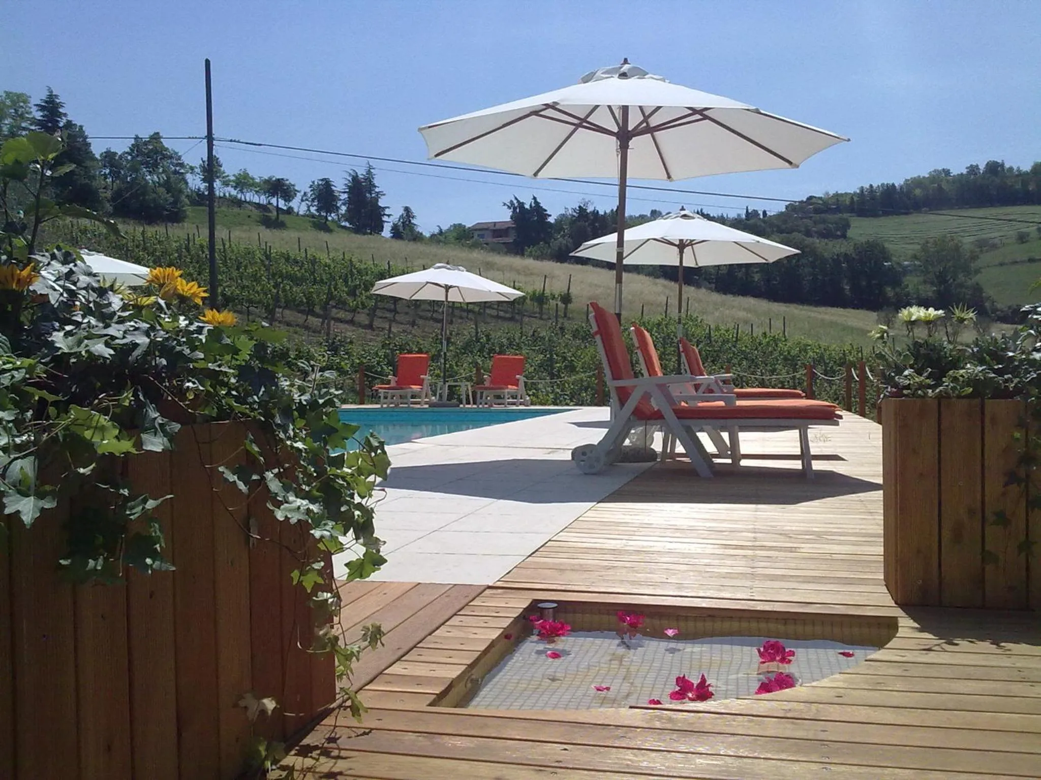 Swimming pool in Residence Villa degli Ulivi