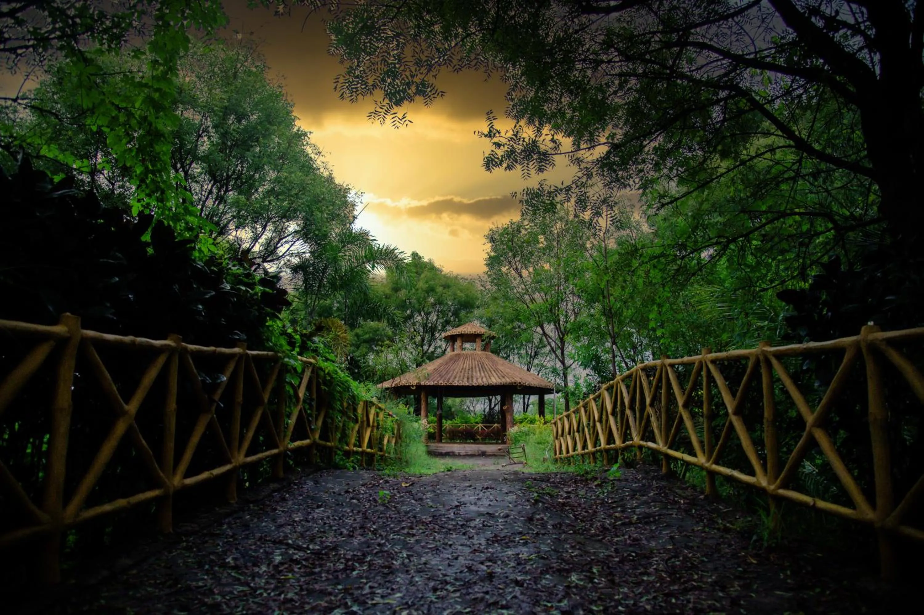 Garden in Sterling Banashree Badami