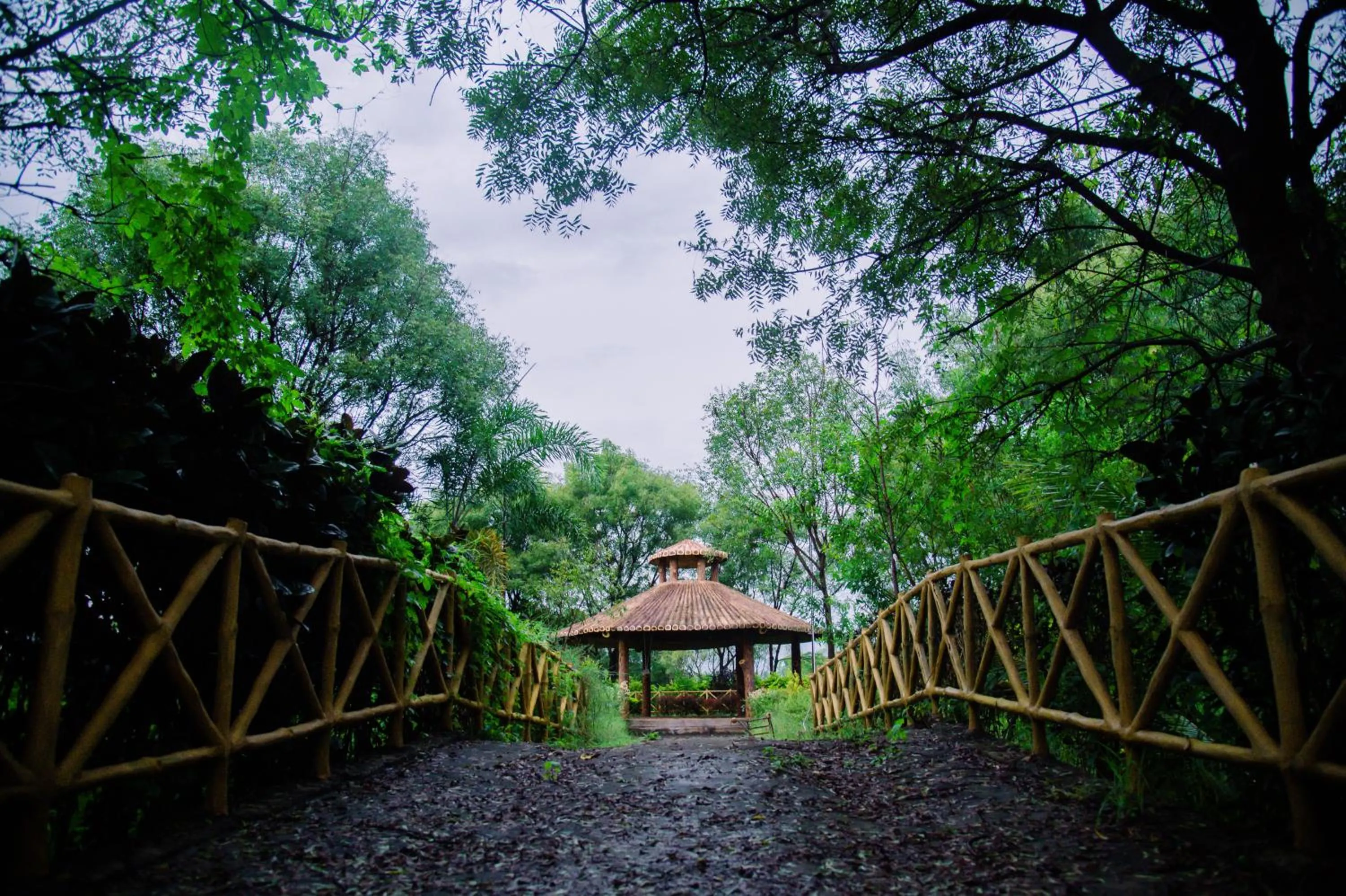 Natural landscape in Sterling Banashree Badami