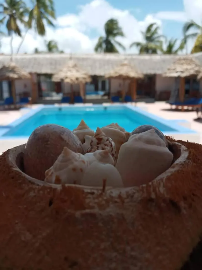 Day in Amani Hotel Paje