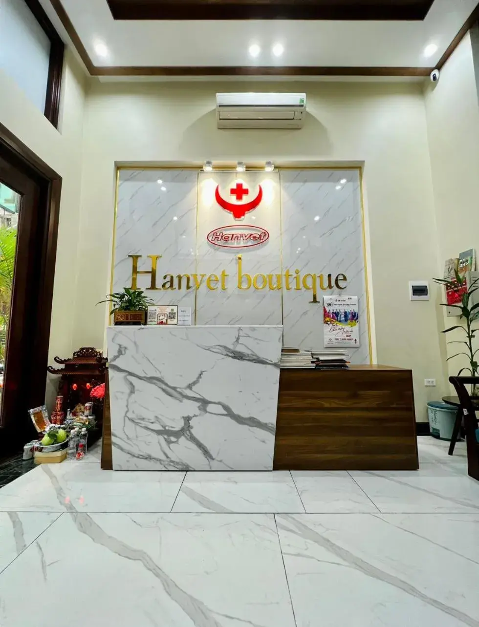 Lobby or reception in Hanvet Boutique Hotel Lobby or reception in Hanvet Boutique Hotel