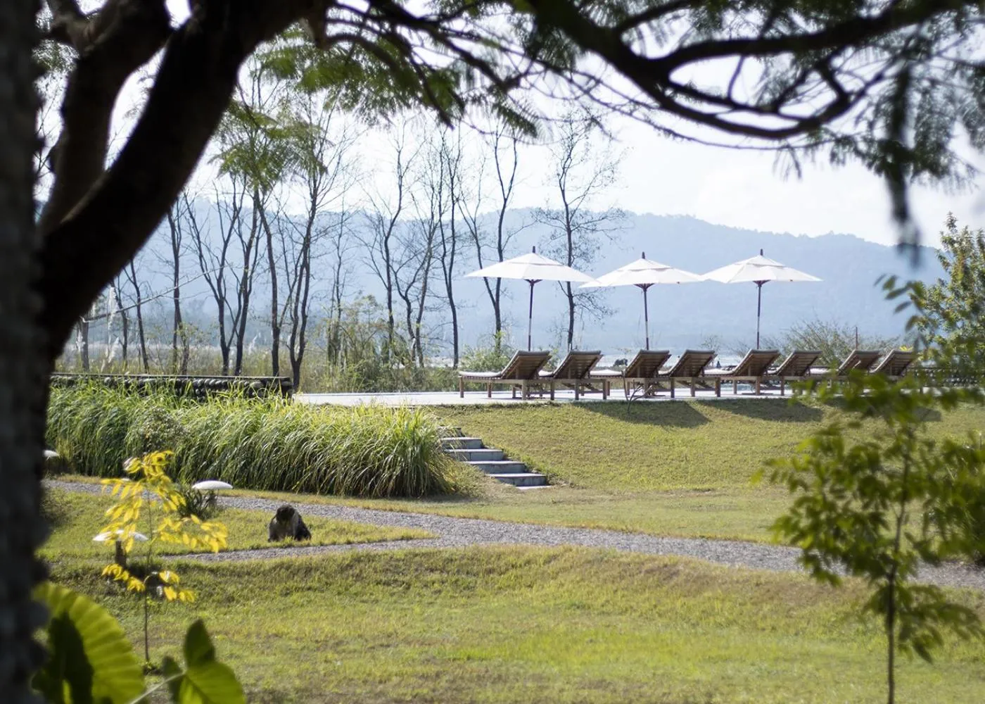 Garden in Sanctuary Chitwan National Park