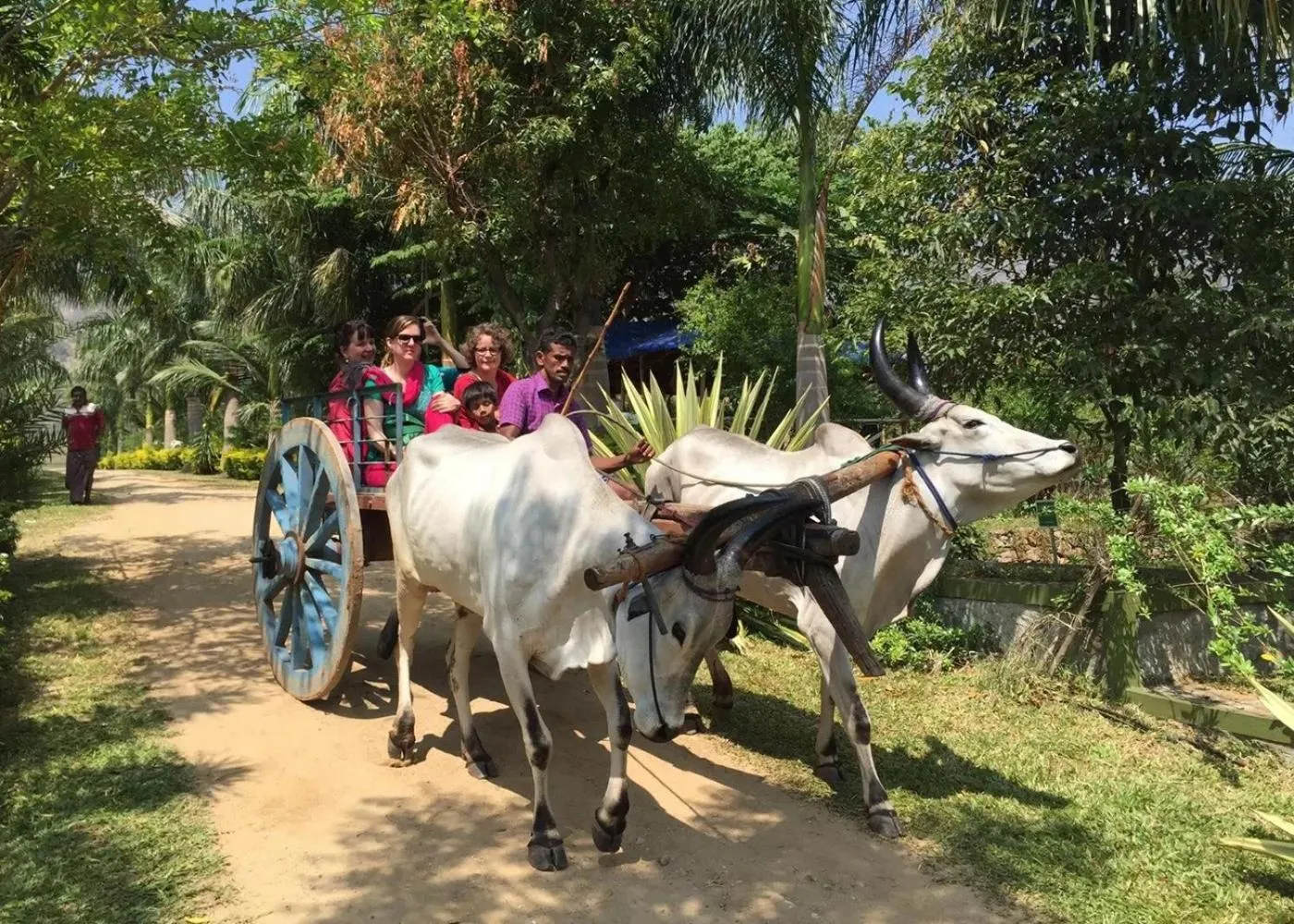 Activities in Sanctuary Chitwan National Park