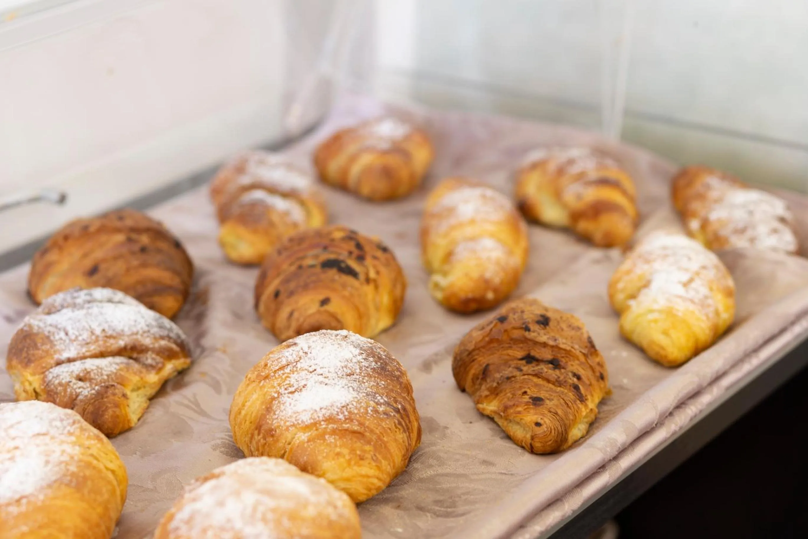 Breakfast in Hotel Condor-New 2024-Con Piscina
