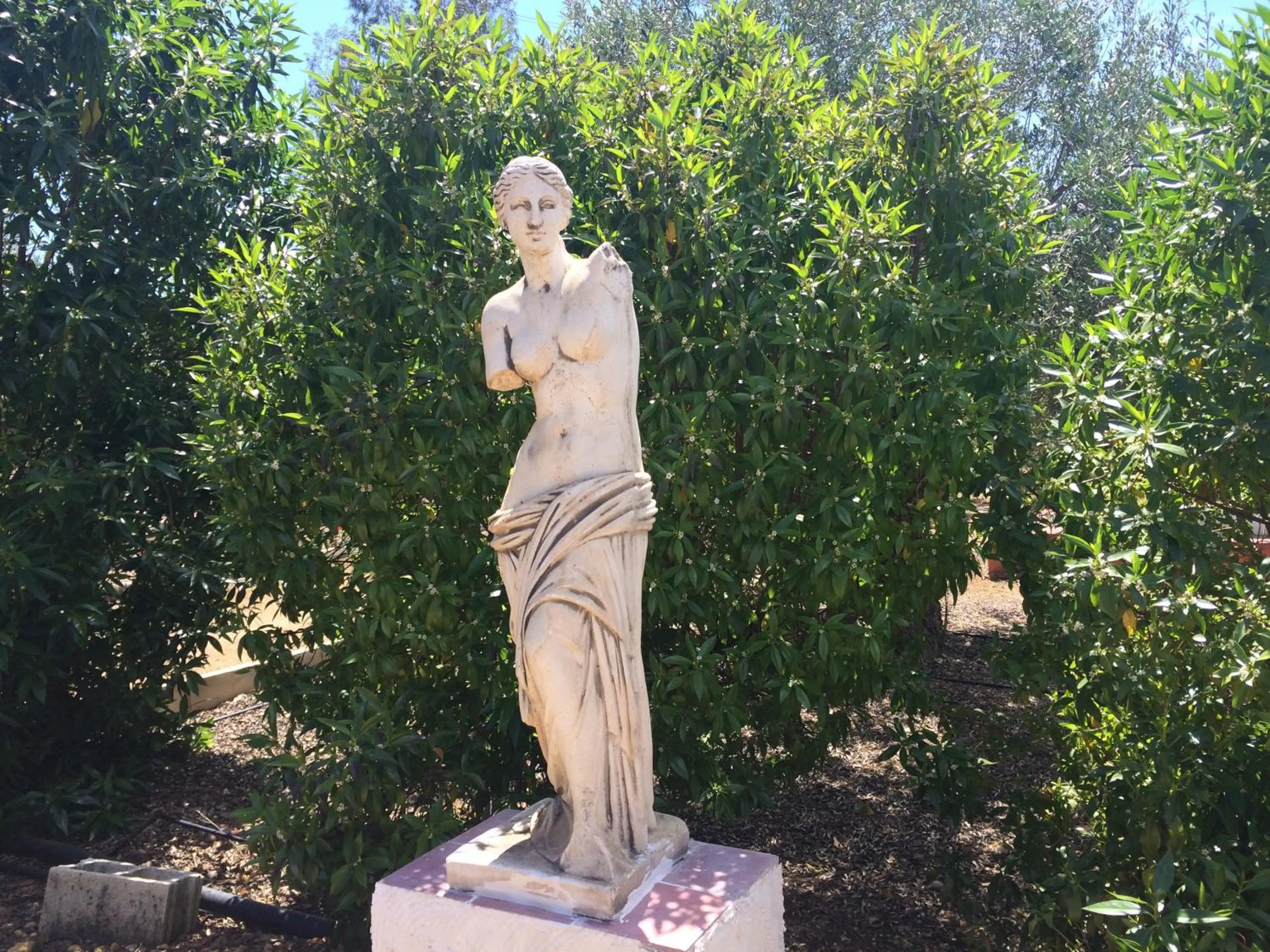 Hacienda Los Jinetes